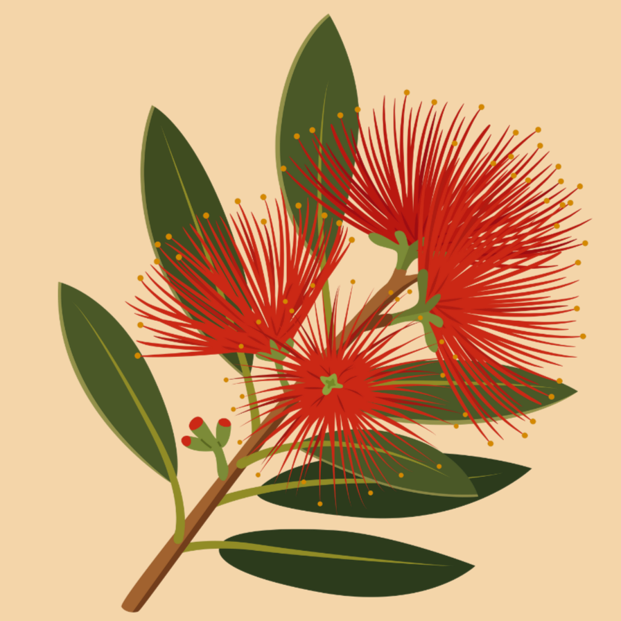 Illustration of red eucalyptus flowers with green leaves on a beige background.