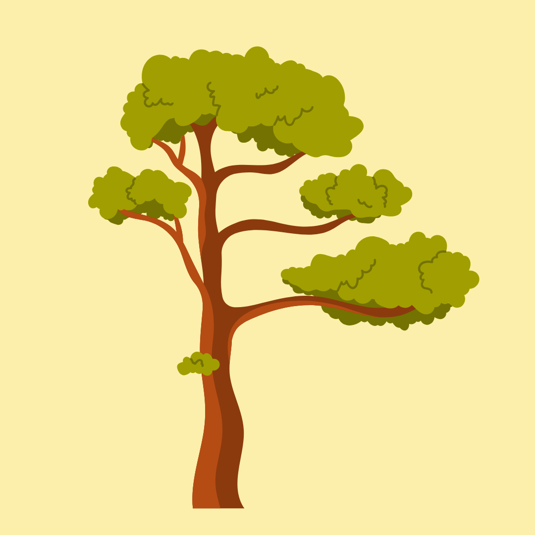 Illustration of a tall tree with a brown trunk and green foliage against a light yellow background.