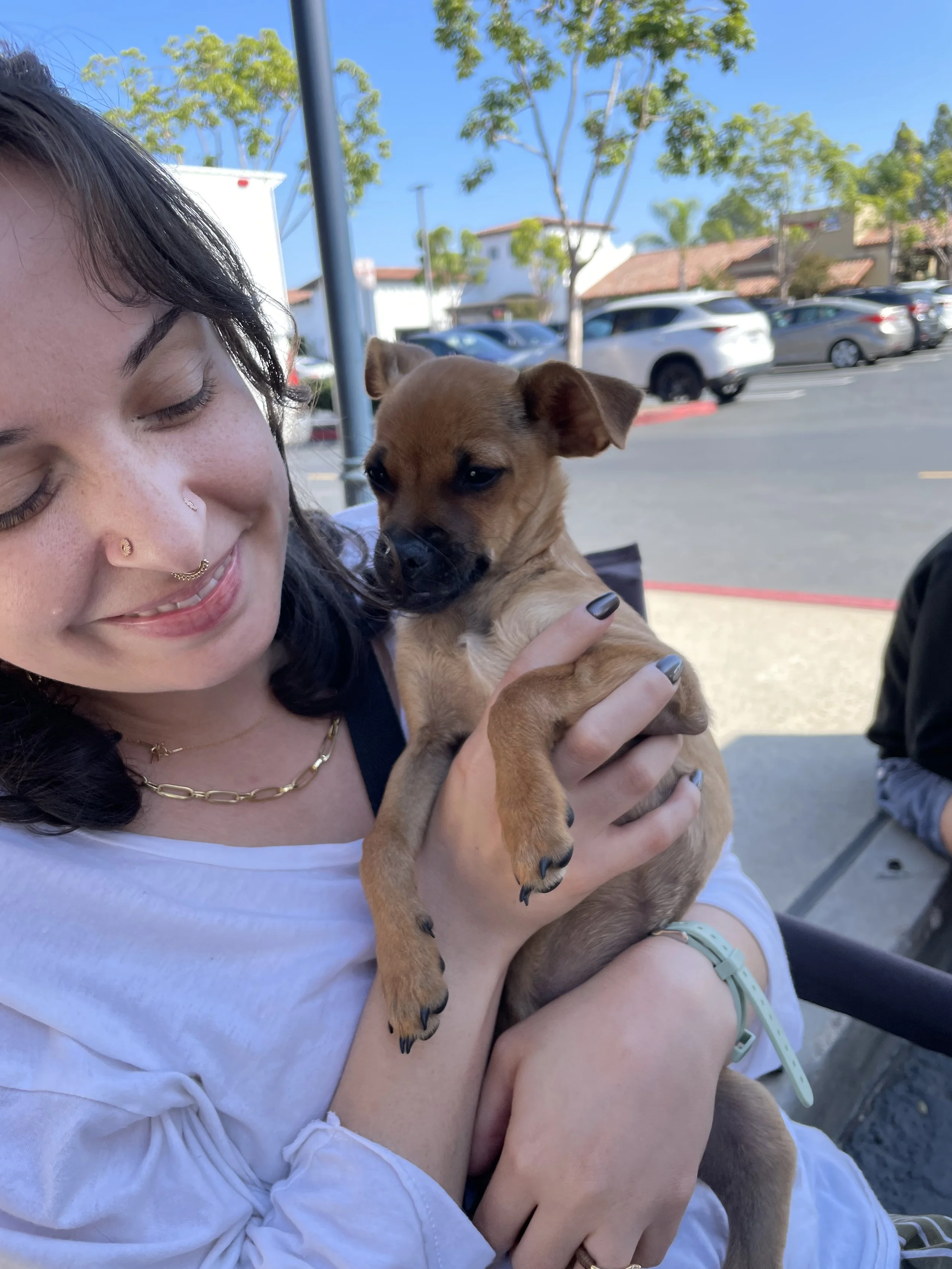 A young woman with dark hair, wearing a white shirt and jewelry, smiling with eyes closed, holds a small brown puppy with pointy ears and black paws outside in a parking lot. The background includes parked cars, trees, and a clear blue sky.