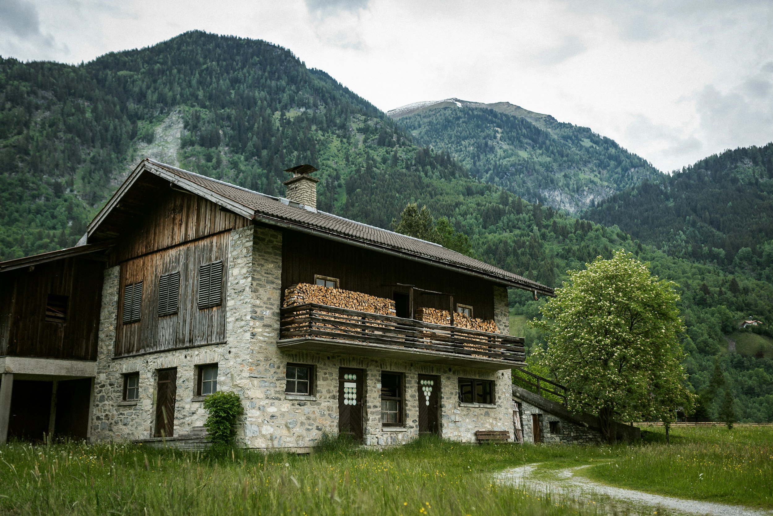 A rustic stone and wood house in a green meadow with a large tree, set against forested mountains under a cloudy sky.