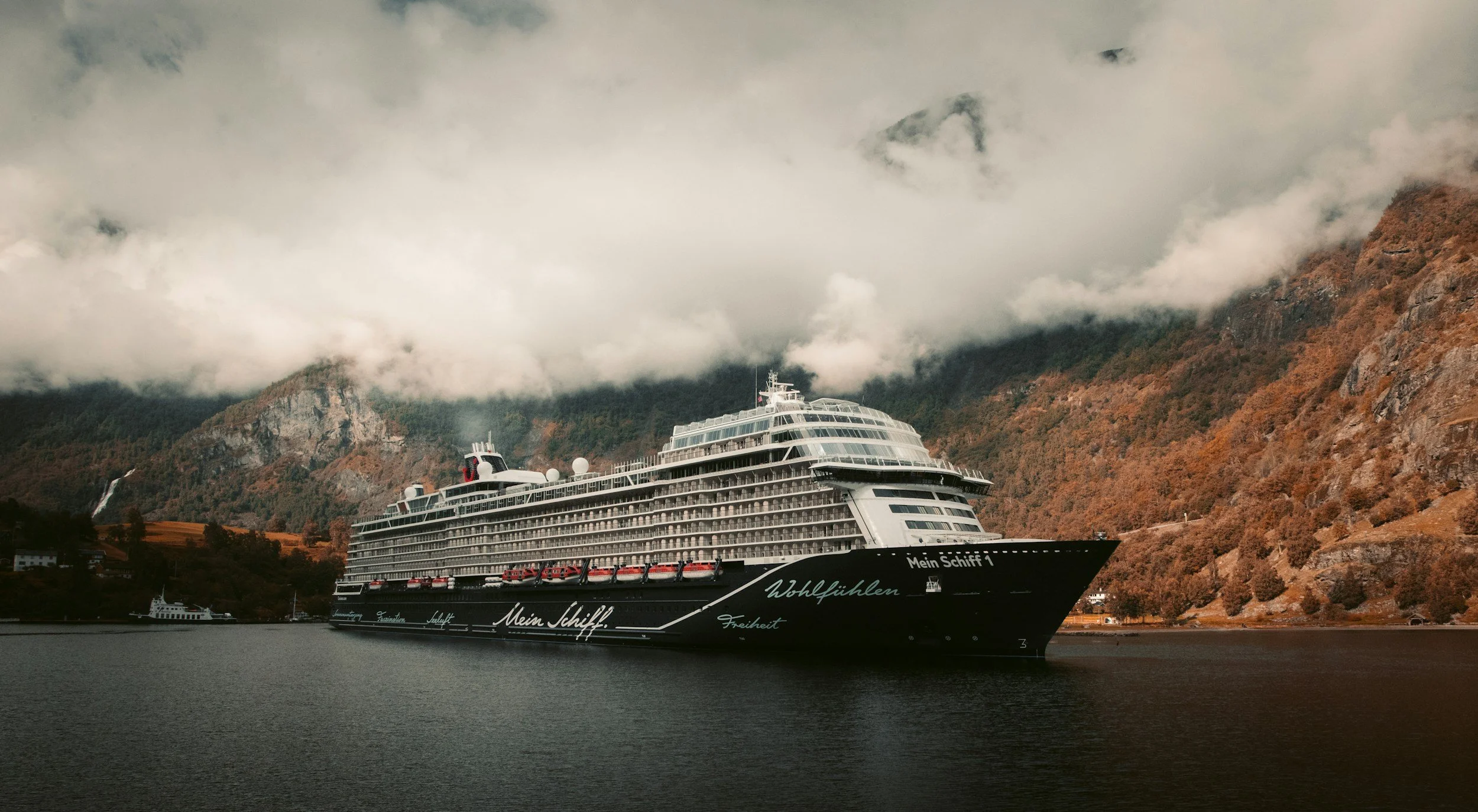 A large cruise ship sailing on a calm body of water with steep, rocky, forested mountains in the background, partly covered by low clouds.