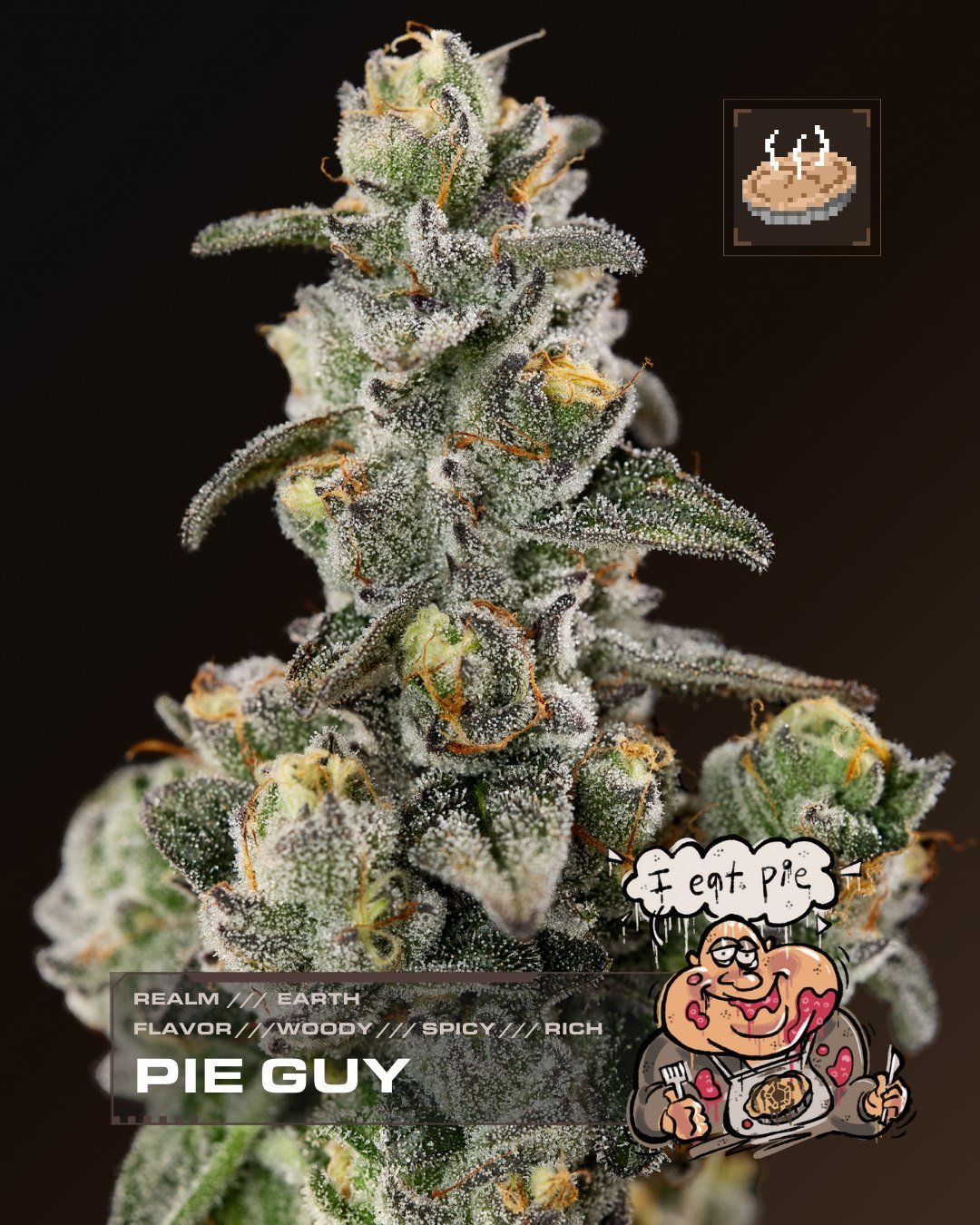 Every day is Pie Day with Pie Guy. But National Pie Day definitely stands out as the most Pie Day. 🥧
Same parents as Juice Leak, totally different expression. Earthy, moss-forward aroma built for calm clarity.
Proof that genetics love surprises, and