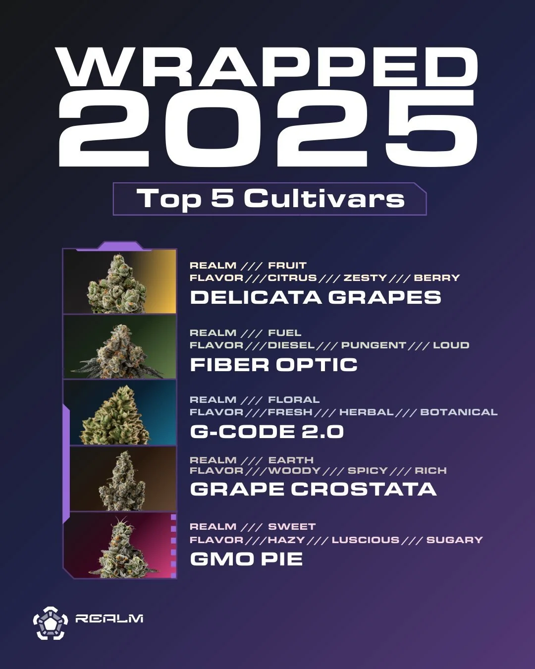 Your Realm Wrapped is here, and honestly&hellip; you&rsquo;ve got great taste.
Fruit Realm takes the top spot with Delicata Grapes at # 1, followed by the award-winning Fuel Realm: Fiber Optic. Holding the center is the balanced brilliance of G-Code 