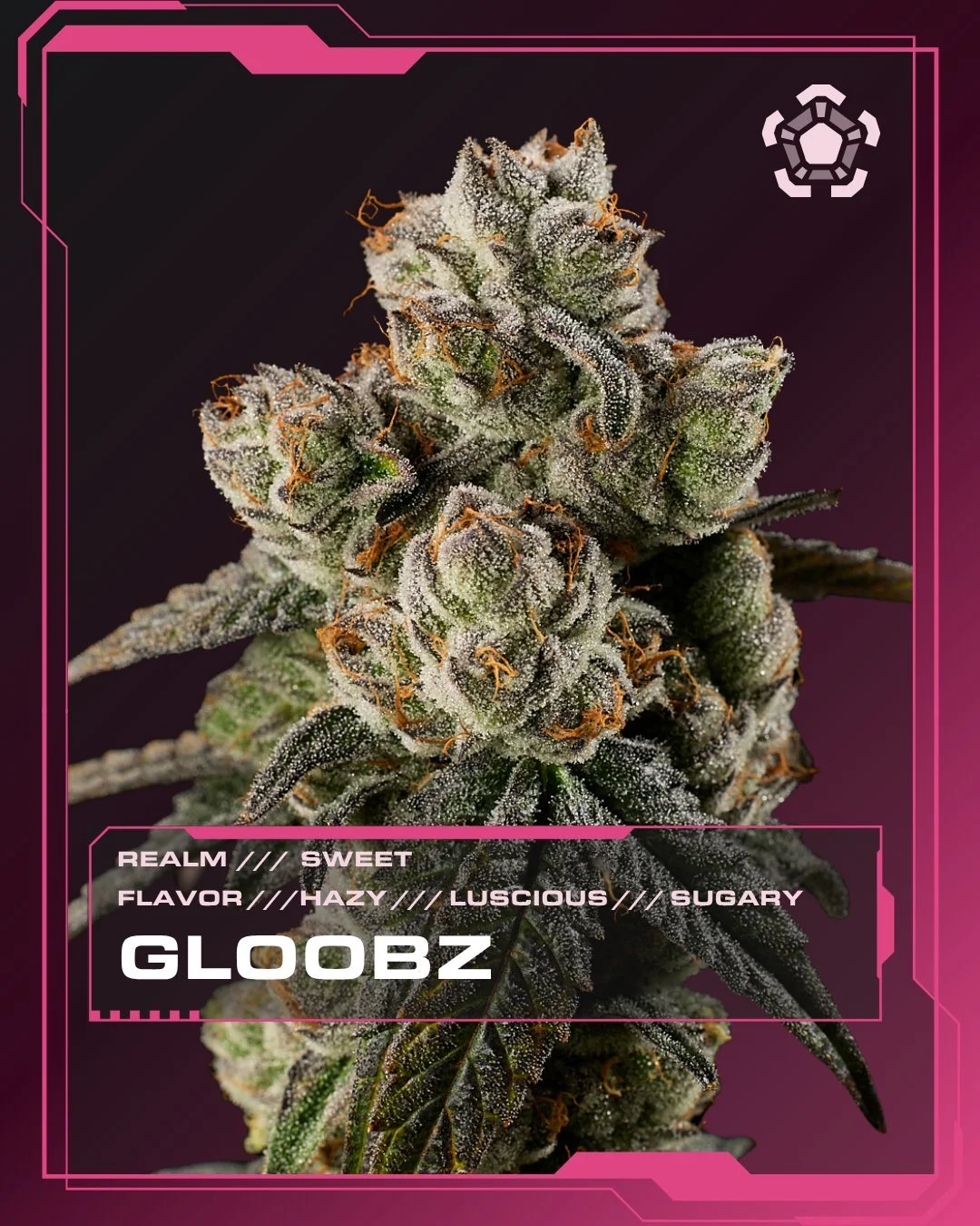 Gloobz | Sweet Realm | Blurberry &times; Delicata Grapes 8

This one first showed up in Black Label and stayed on our radar. Brought back through the winter hunt and selected for a wider run.

 Rocket popsicle. Raspberry pie filling.
A little gas in 