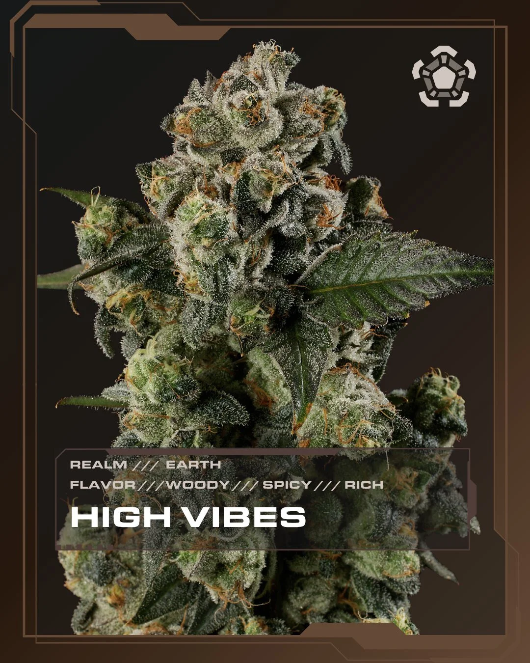 High Vibes | Earth Realm | Grape Crostata x Gardenia 2
Earthy notes lead with a rubbery edge, backed by cedar, pine, and a little spice in the top of your nose.