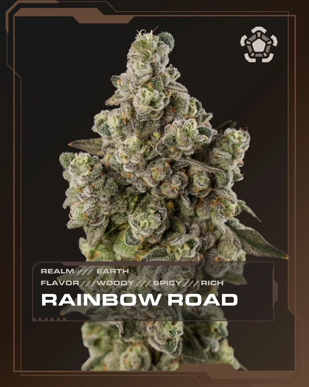 Rainbow Road | Earth Realm | Grape Crostata &times; Shady Grape 6

Part of the winter Bounty Hunter series this beauty was selected through in-house pheno hunting where structure, aroma, and expression all had to land.

Bright green citrus up front. 