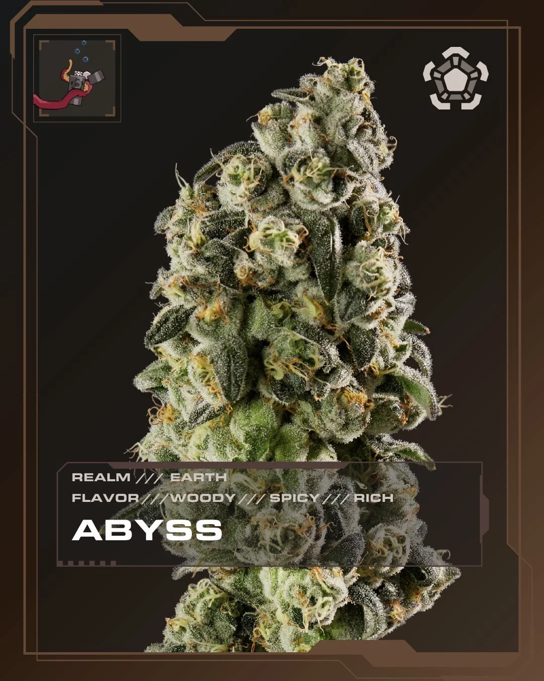 Abyss | Grape Crostata &times; Delicata Grapes 2

Woody, rubbery aromatics settle into a darker expression with dense frost and grounded structure throughout.

Peep that macro image of the tricomes!