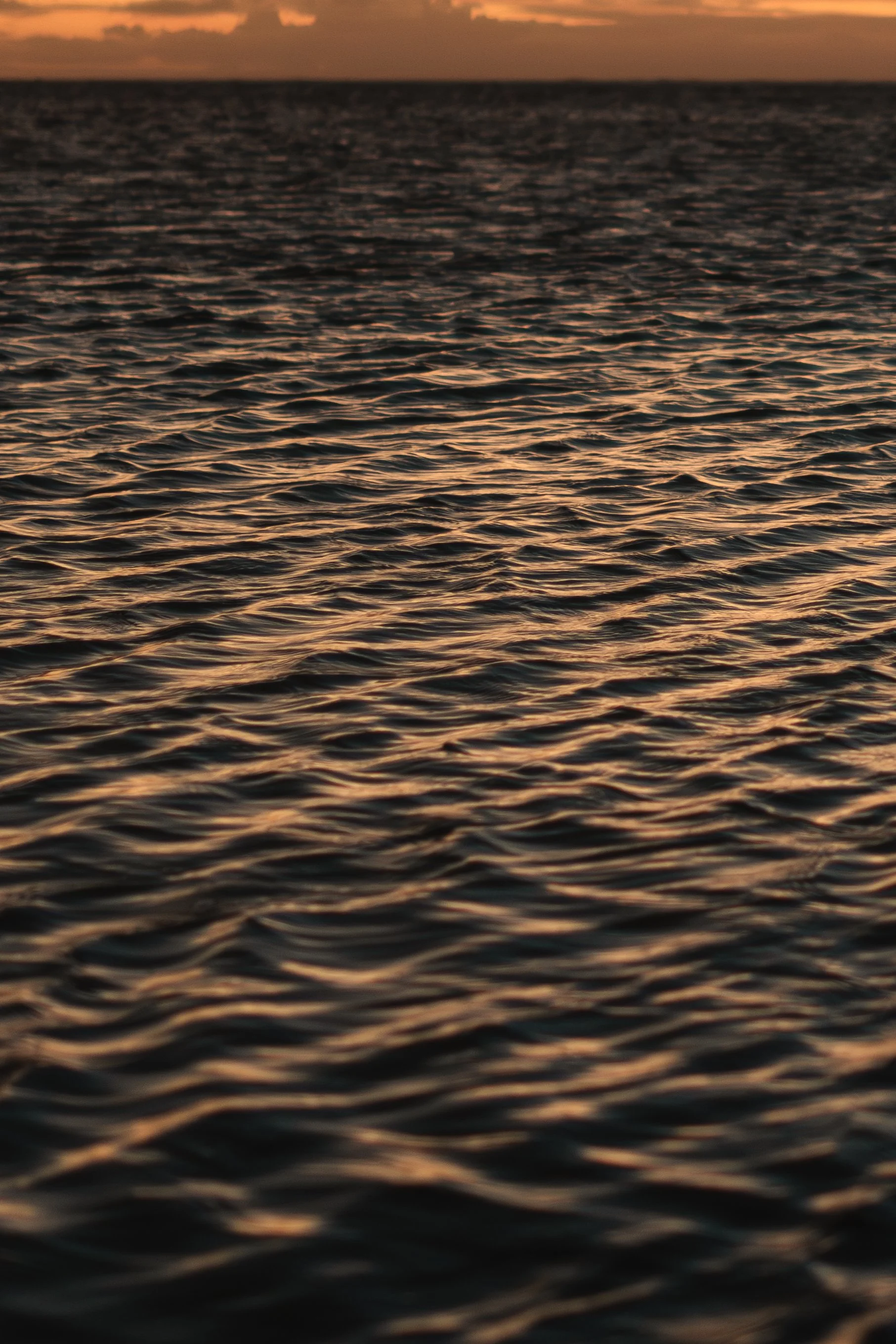 ARX02181-2.jpg