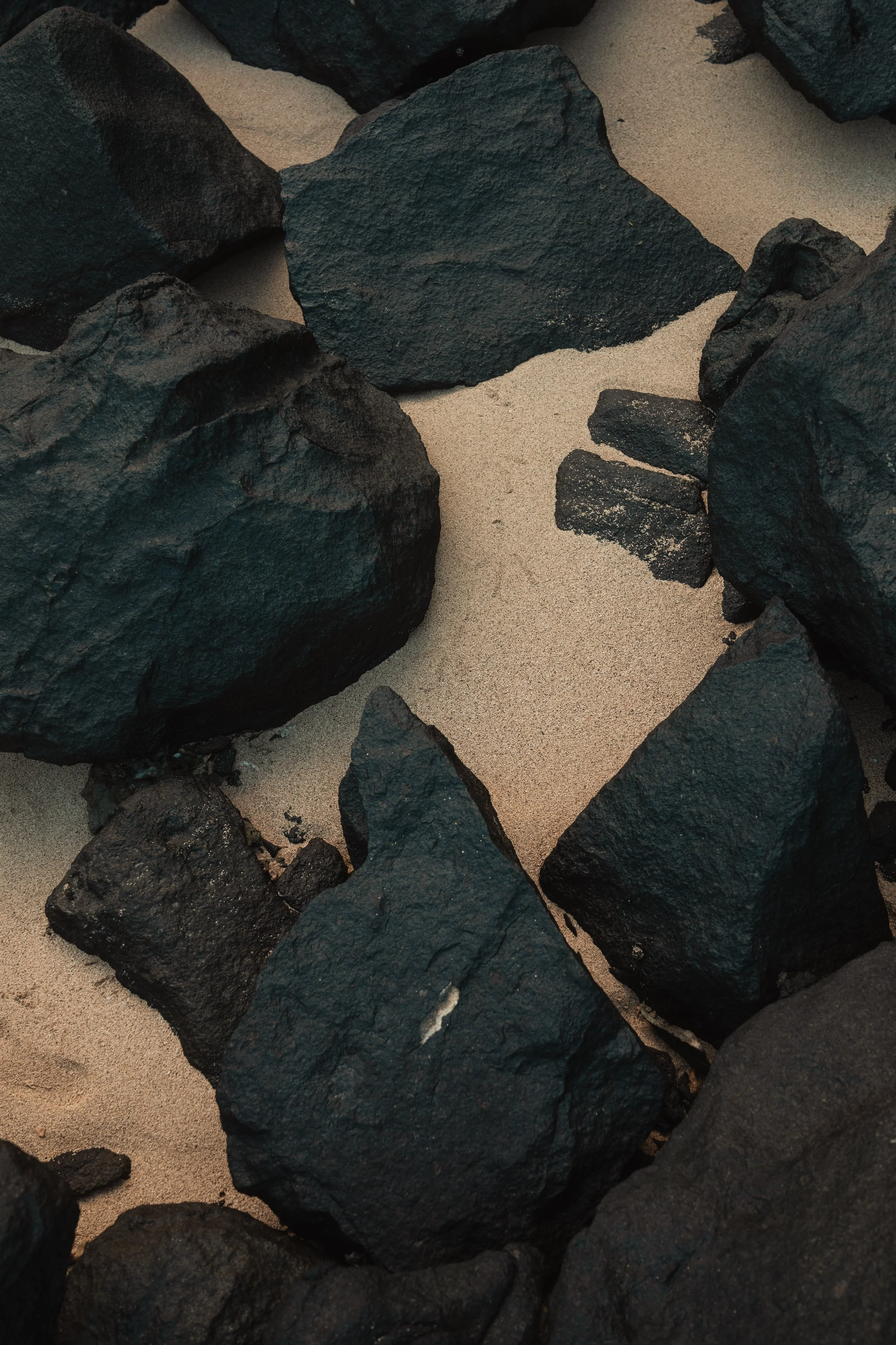 ARX02129.jpg
