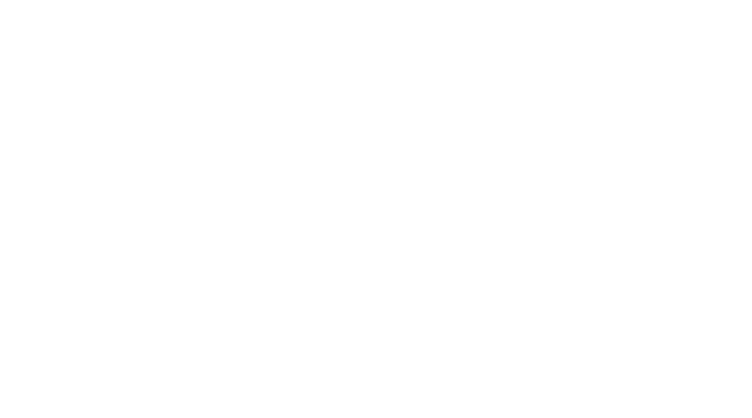 SERGIO VIVIESCAS