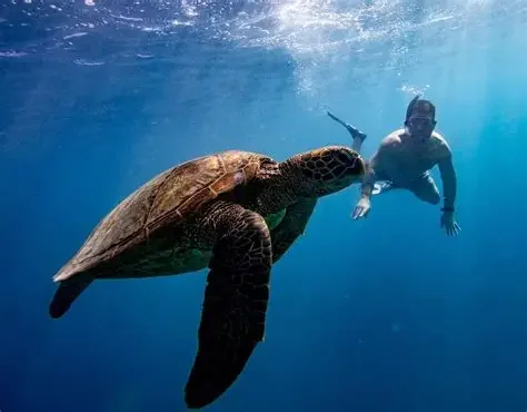 Rarotonga Southern Passages Environmental Management Plan