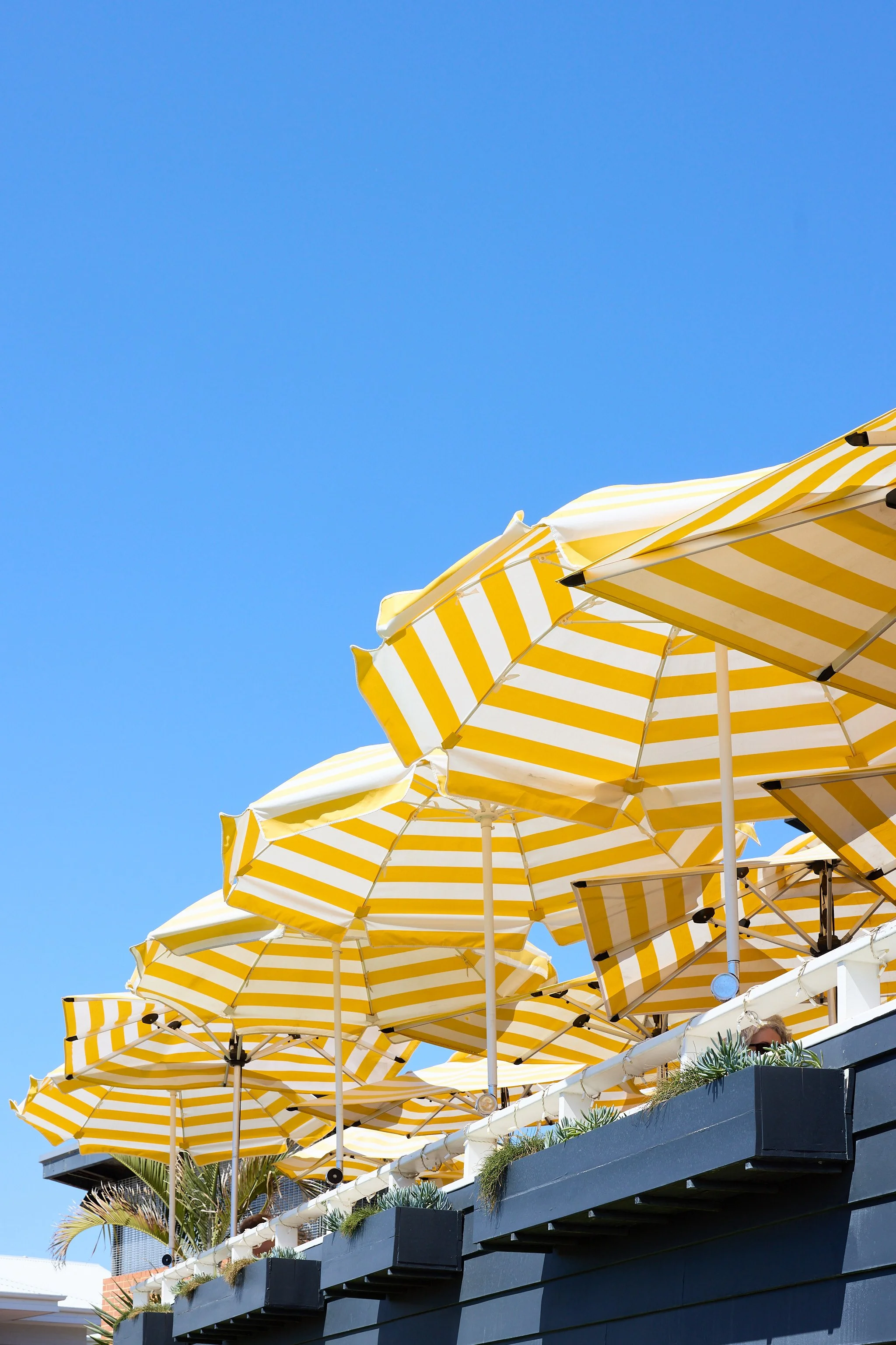 Multiple yellow and white striped umbrellas on a patio against a bright blue sky, with some greenery and a building in the background.