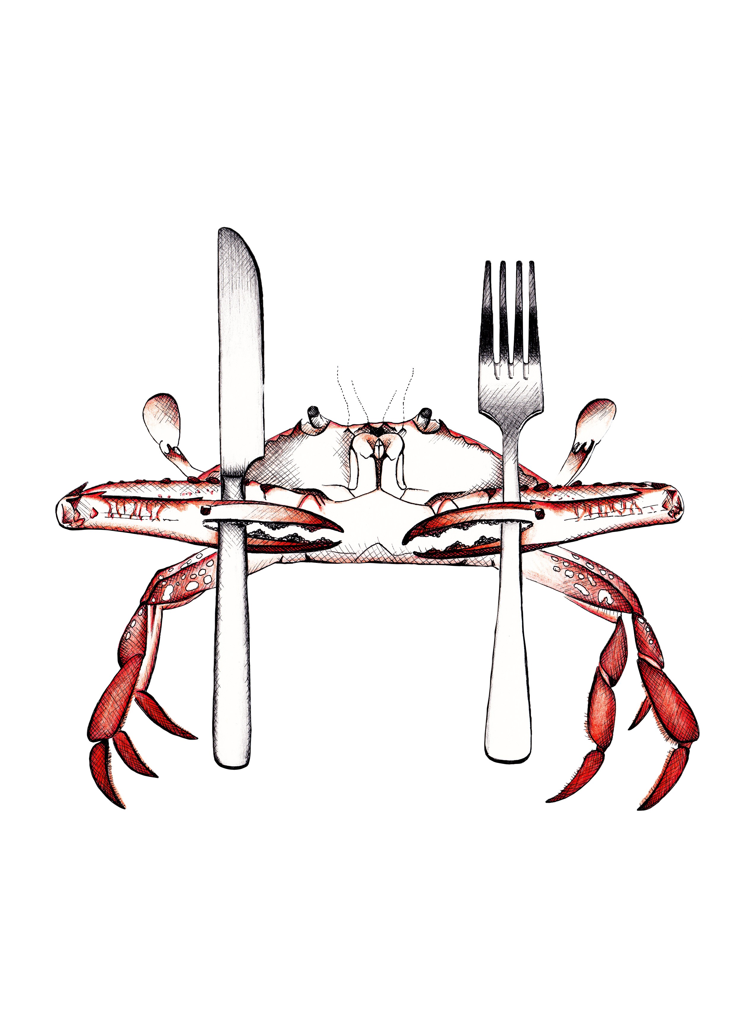 A realistic illustration of a red crab with a large shell, holding a knife and a fork, with a steak on a plate in front of it, set against a black background.