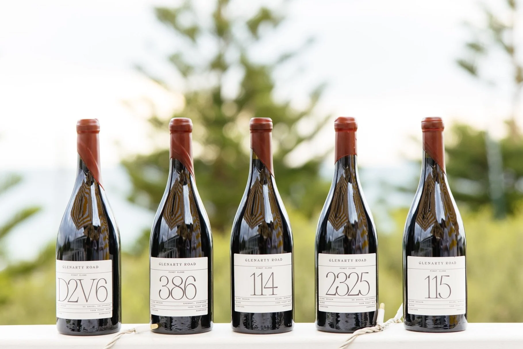 Four bottles of wine standing upright outdoors, each with a white label and red foil capsule. The background is blurred with greenery and sky, suggesting a natural, outdoor setting.
