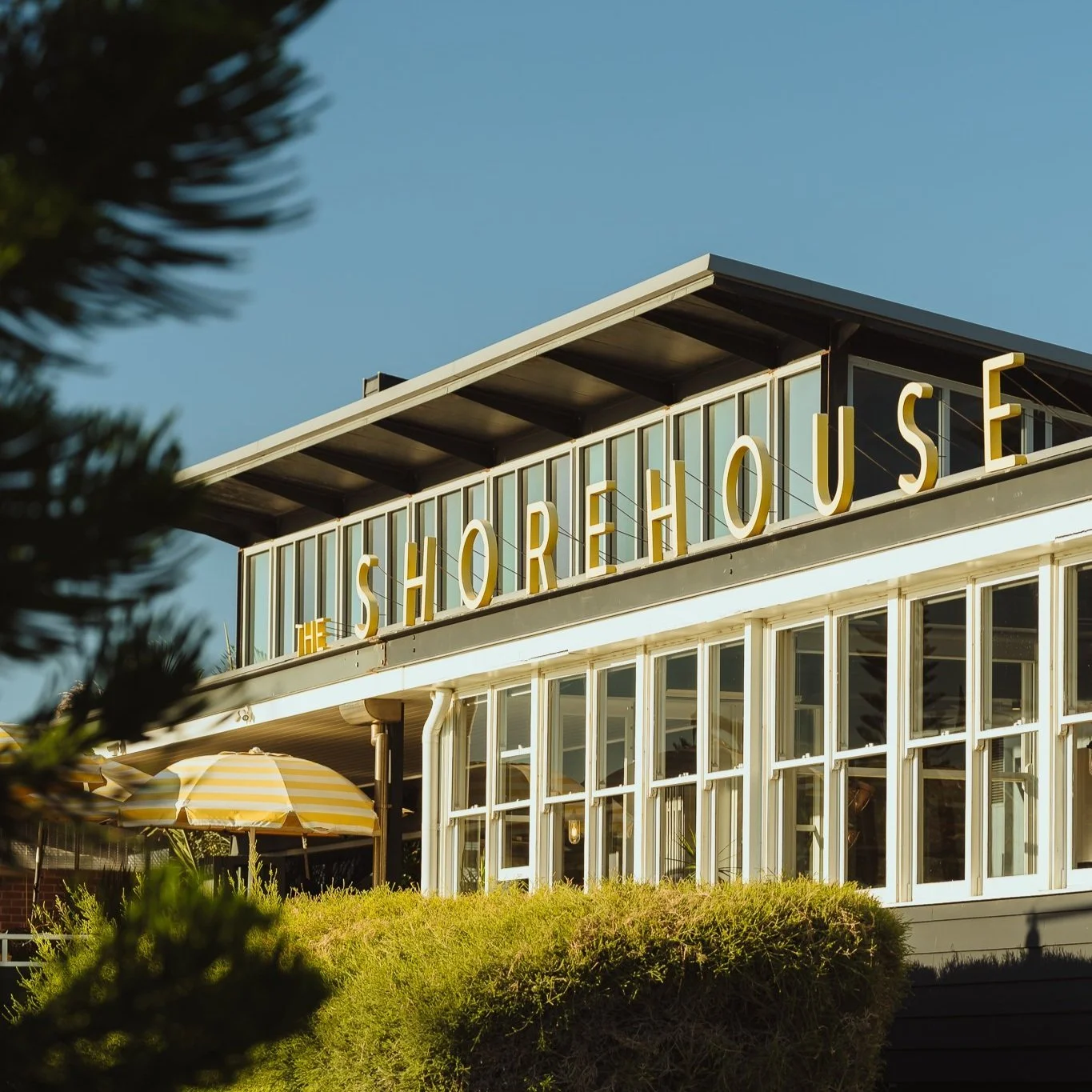 A building with large windows and a neon sign that reads 'The Shorehouse', with a blue sky and some greenery in the foreground.