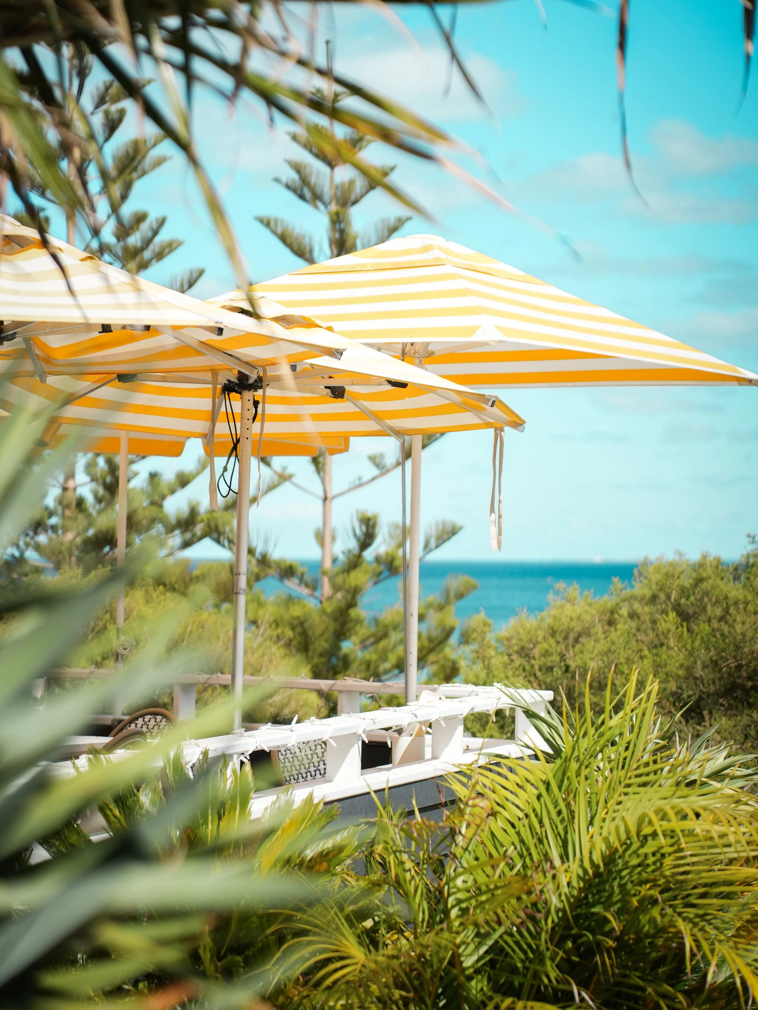 Beach scene with yellow and white striped umbrellas, lush green plants in the foreground, and a bright blue sky with clouds overhead.