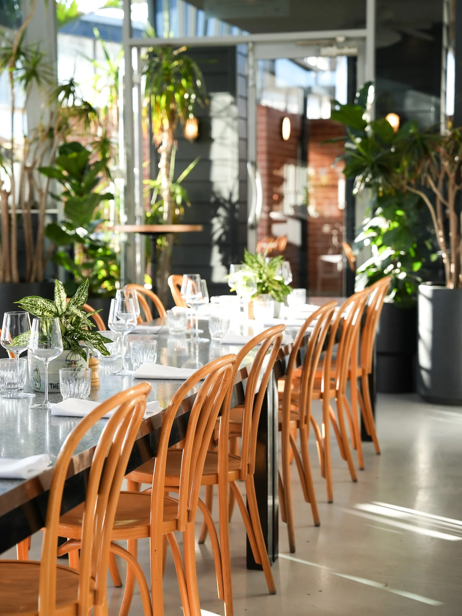 Indoor dining area with wooden chairs around a long table set with glassware, napkins, and potted plants, with sunlight streaming in through large windows and greenery outside.