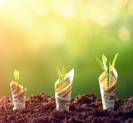 Income for life… or not?