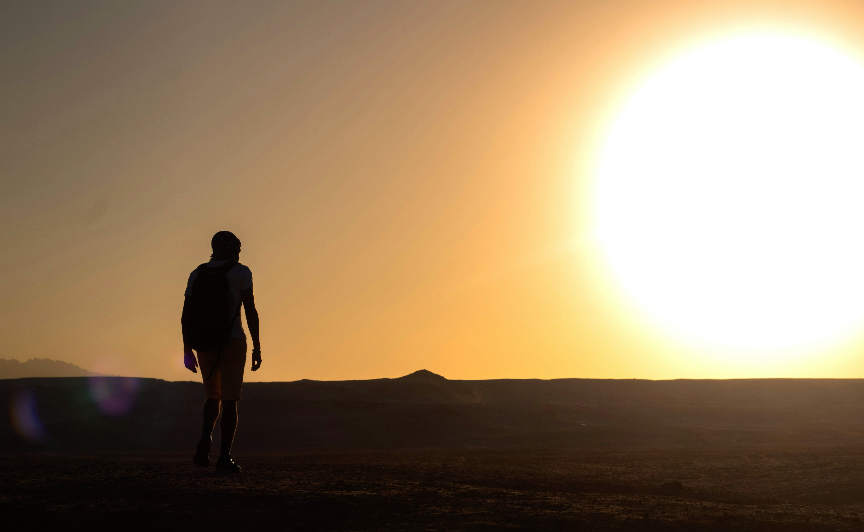 This time next year, Rodney...