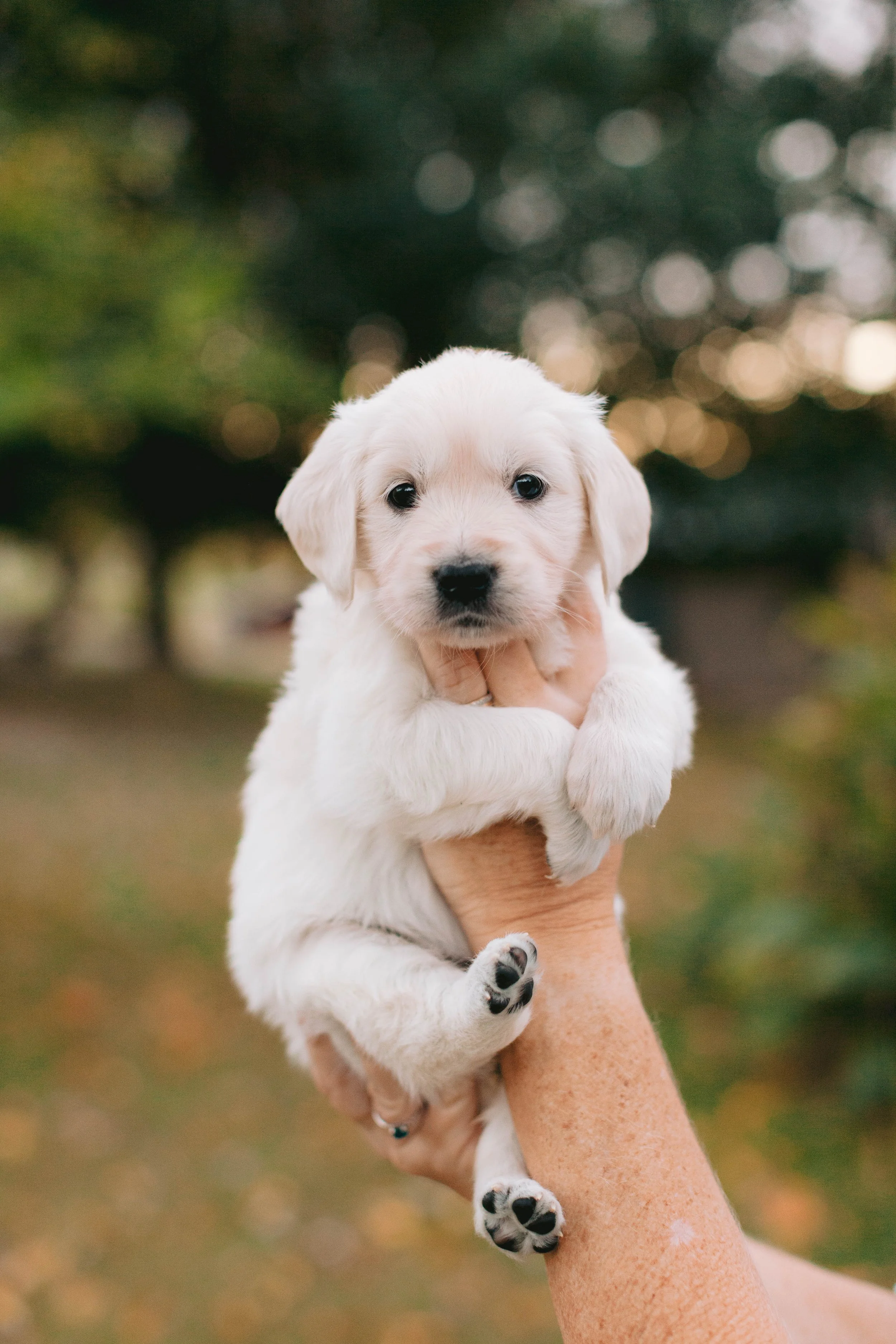 Rainbow (Copy) (Copy)