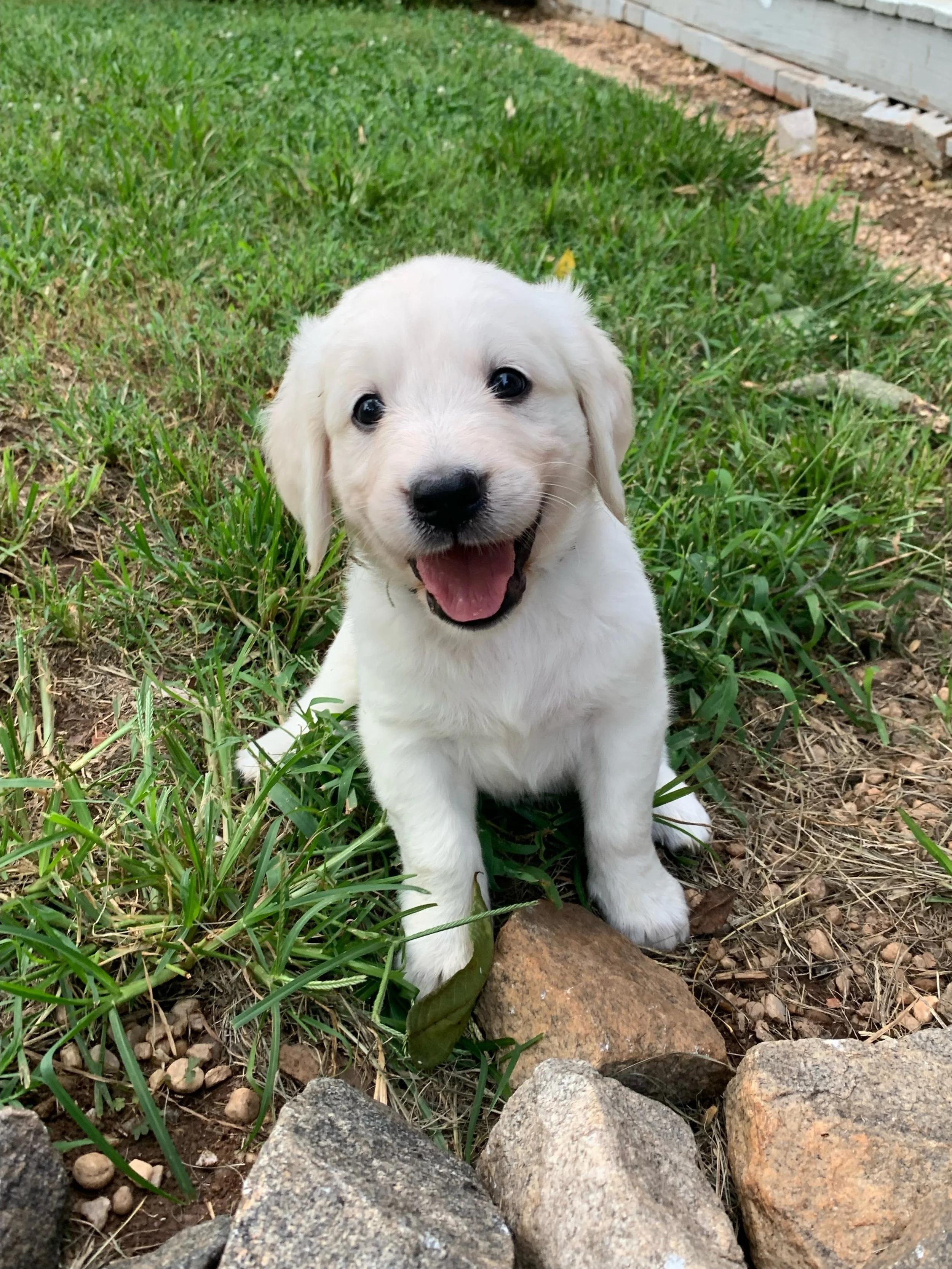 Samson