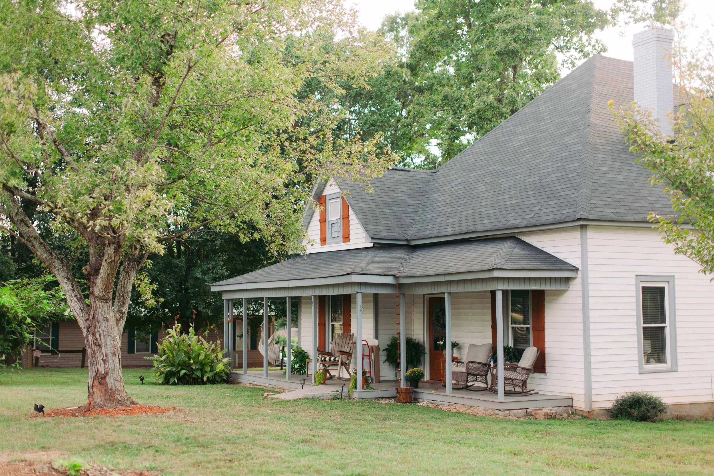 Golden Retriever puppy playing by the fence on our Rockwell, NC farm