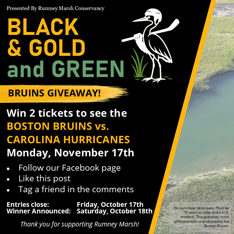 Black &amp; Gold and GREEN: Celebrating 1,000 Followers on Facebook