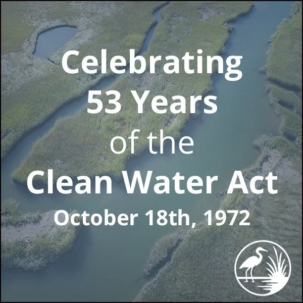 Celebrating 53 Years of the Clean Water Act
