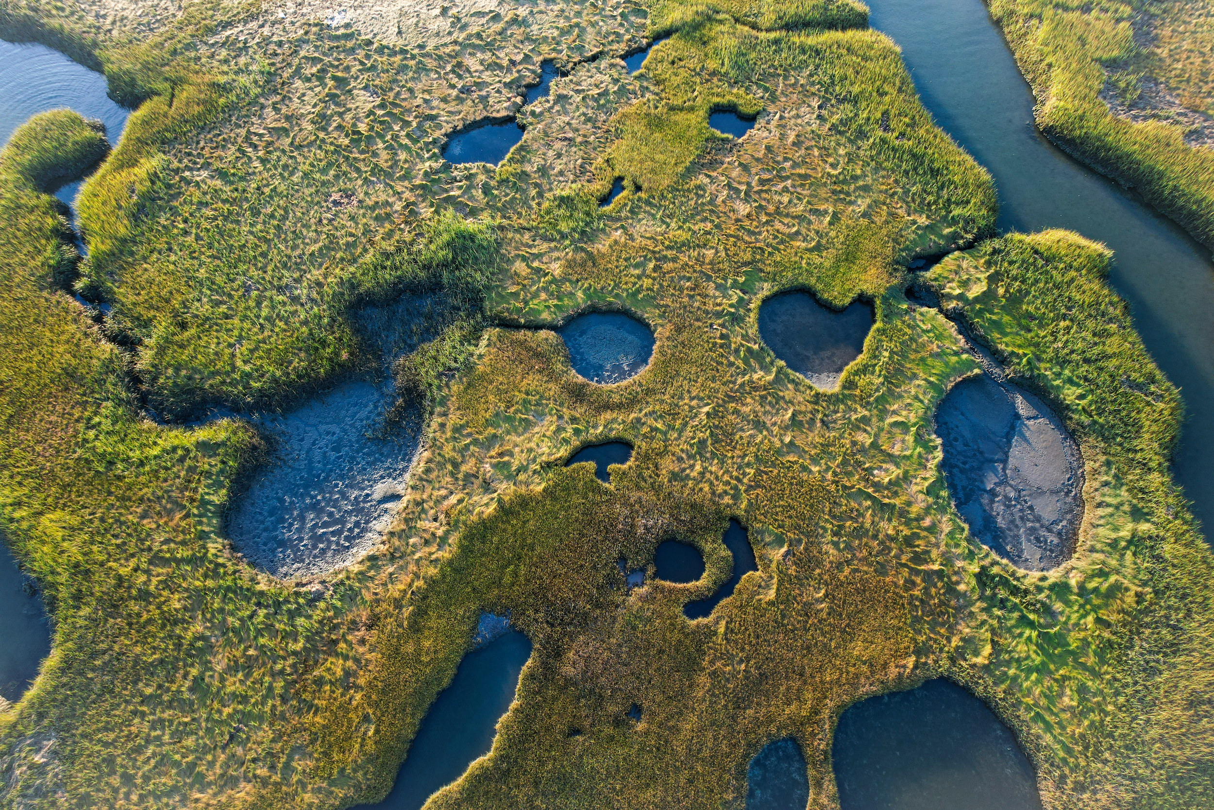 Rumney Marsh Conservancy has officially joined the National Association of Wetland Managers (NAWM)!