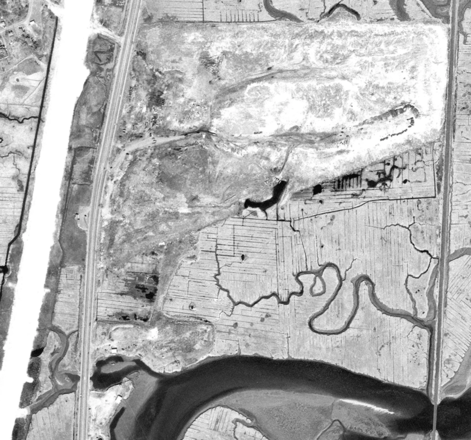 How a Marsh Became Home to an Ash Landfill