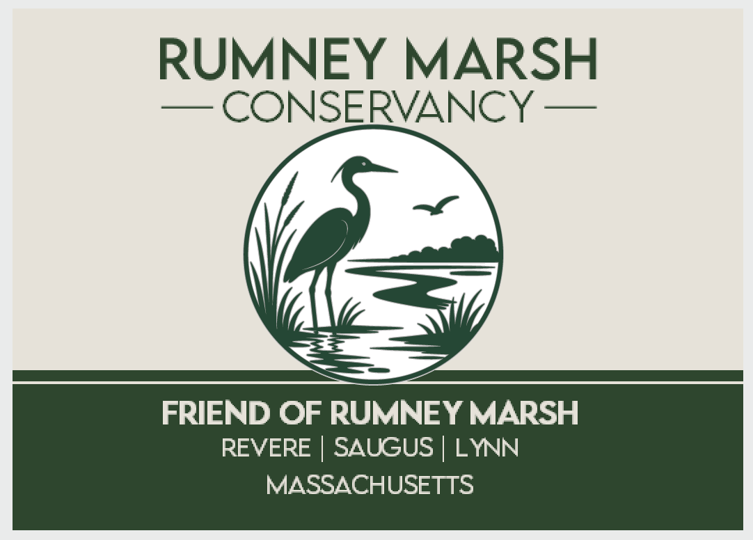 A mock up of a Rumney Marsh themed commemorative pin, attached to a card that says "FRIEND OF RUMNEY MARSH"