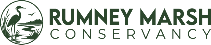 Rumney Marsh Conservancy