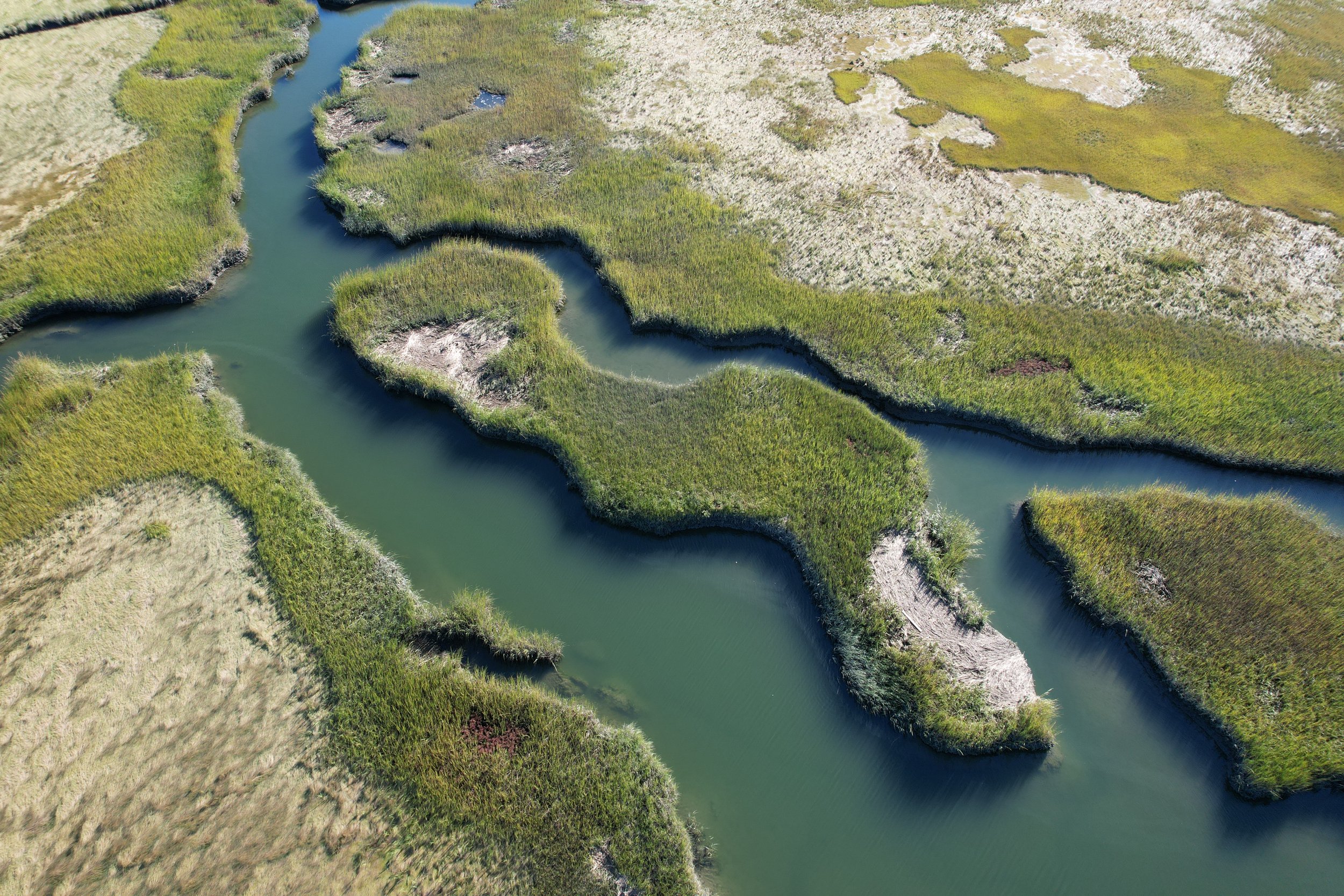 Aerial view of a winding river flowing through grass and marshland.
