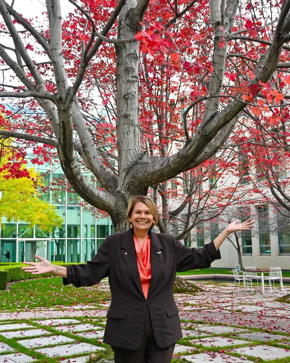 The Budget Tree has turned a vibrant red - that means it&rsquo;s Budget time! 🍁

Tonight&rsquo;s Budget will be responsible but ambitious. Focused on economic resilience, meaningful reform and investment where it matters most.