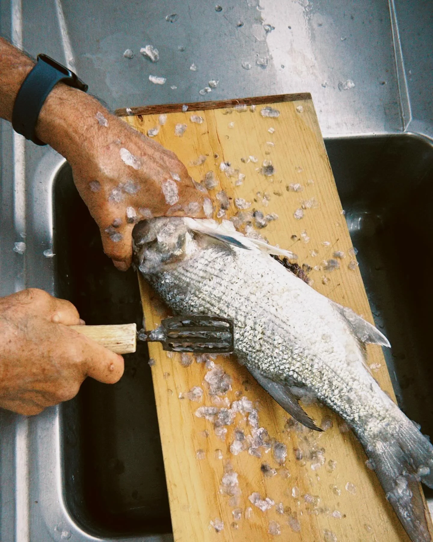 Cleaning Fish 101 by Papa E. Learn you how 🔪🐟