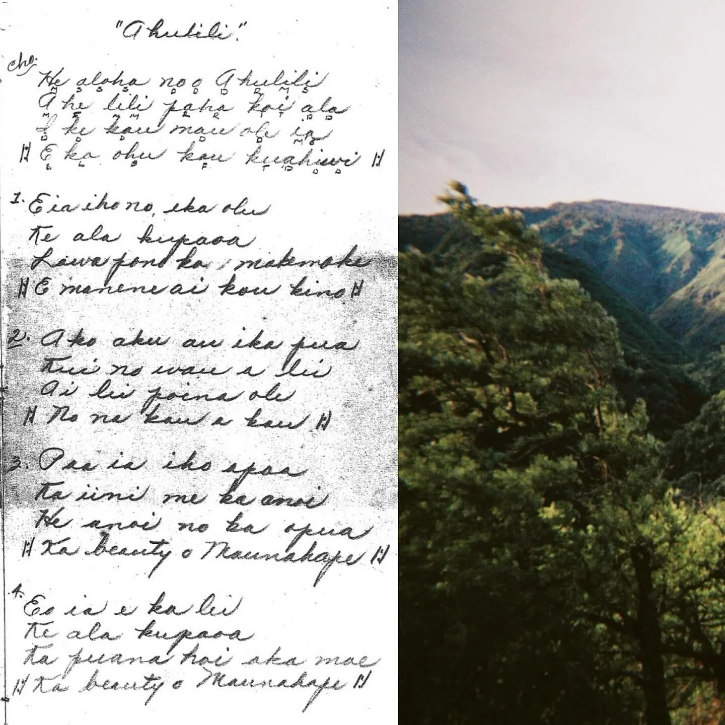 Ahulili, written and composed on our front porch steps by family friend Scott Hai (1920s), speaks about the hill sitting atop of our Manawainui Valley. Handwritten lyrics by my great-grandmother Irene Marciel demonstrate our aloha for this mele, and 