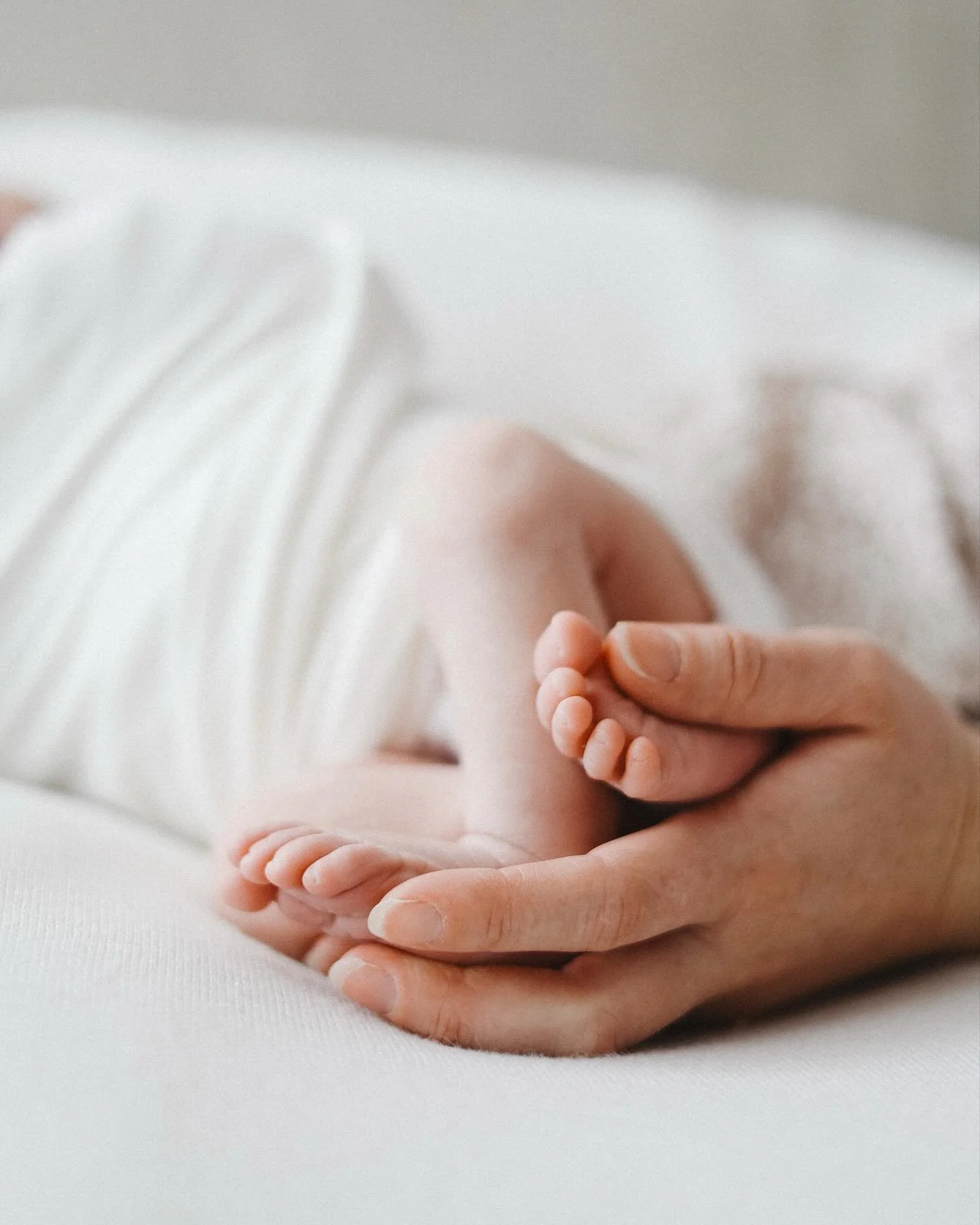 There&rsquo;s something so special about a newborn&rsquo;s tiny hands and curled up toes&hellip; so delicate, so perfect 🤍 

#melbournephotographer #melbournematernityphotographer #newborn #newbornphotography