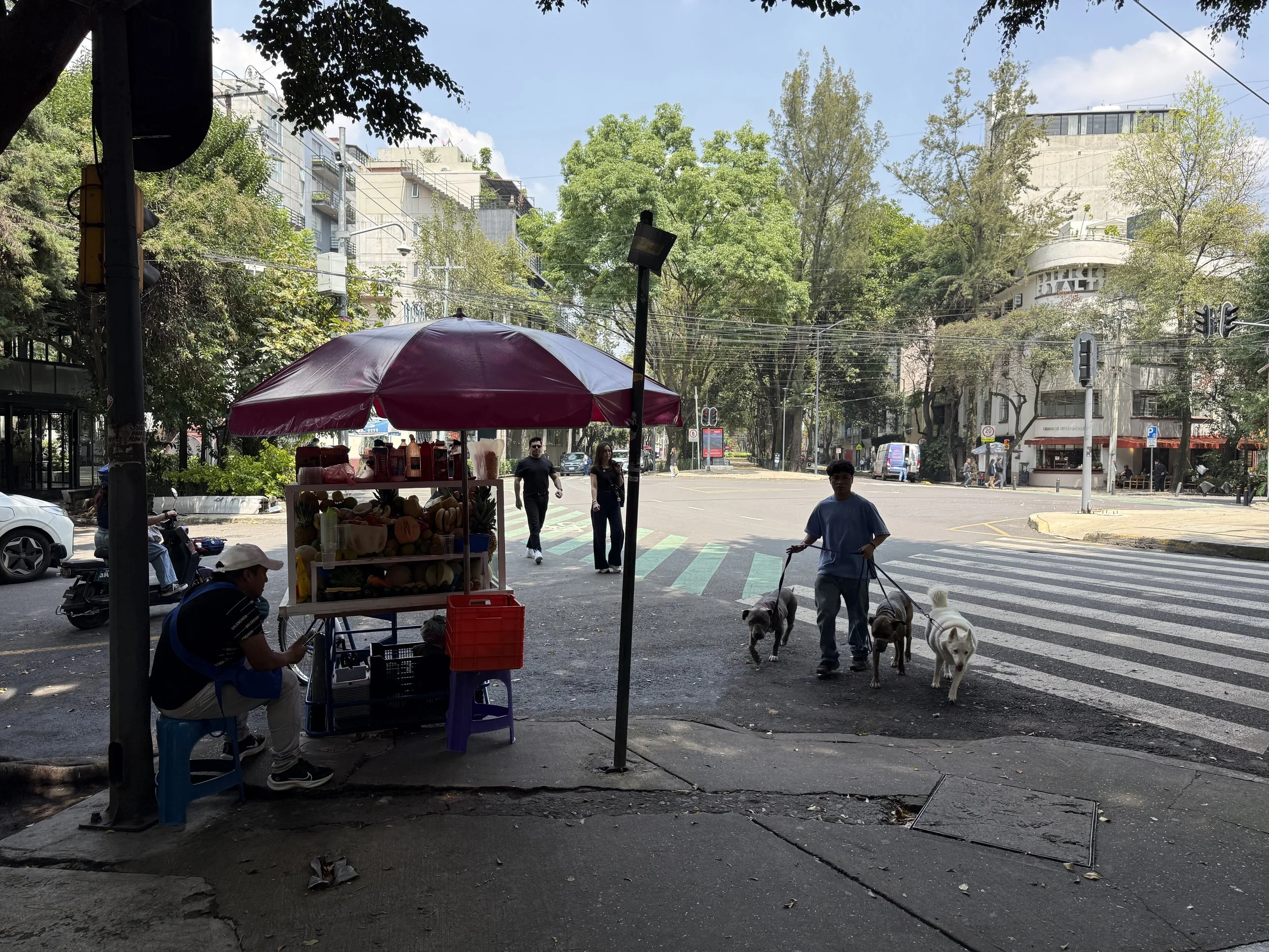 Mexico City’s divisive Gentrification debate