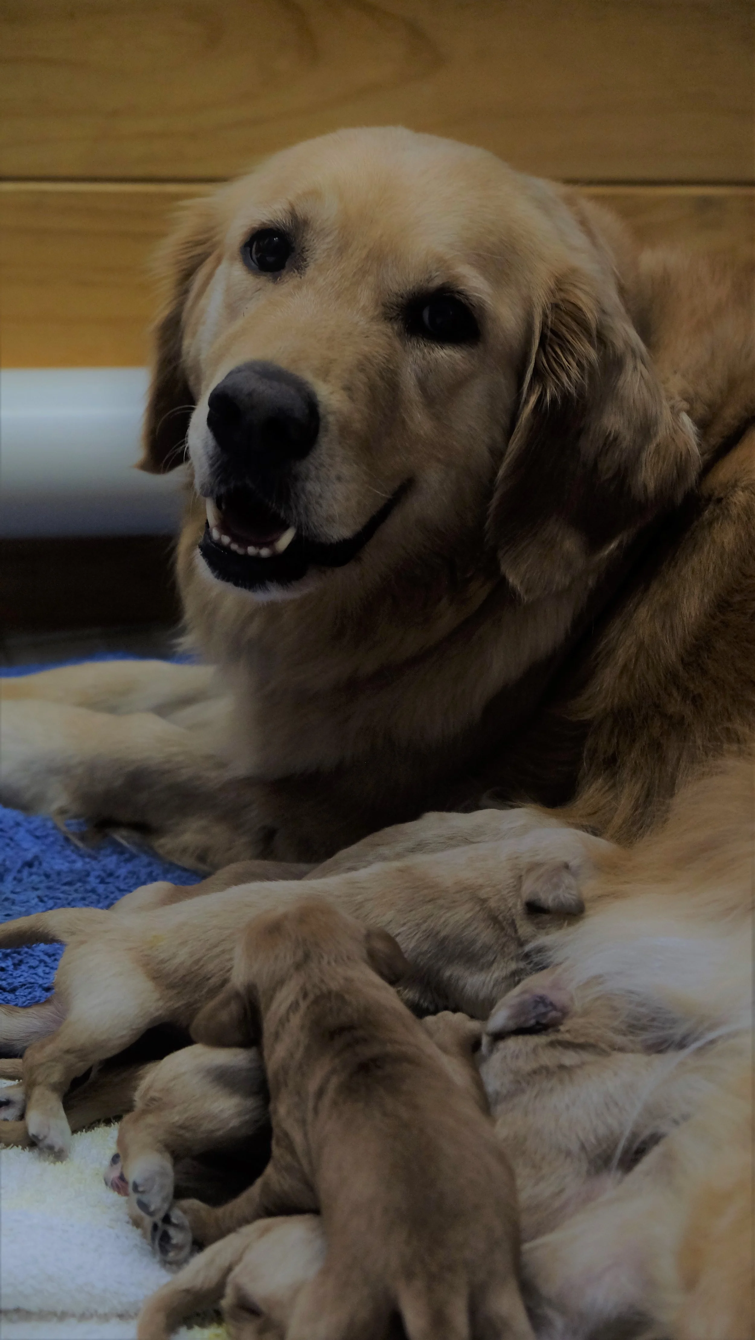 DSCF6754.JPG