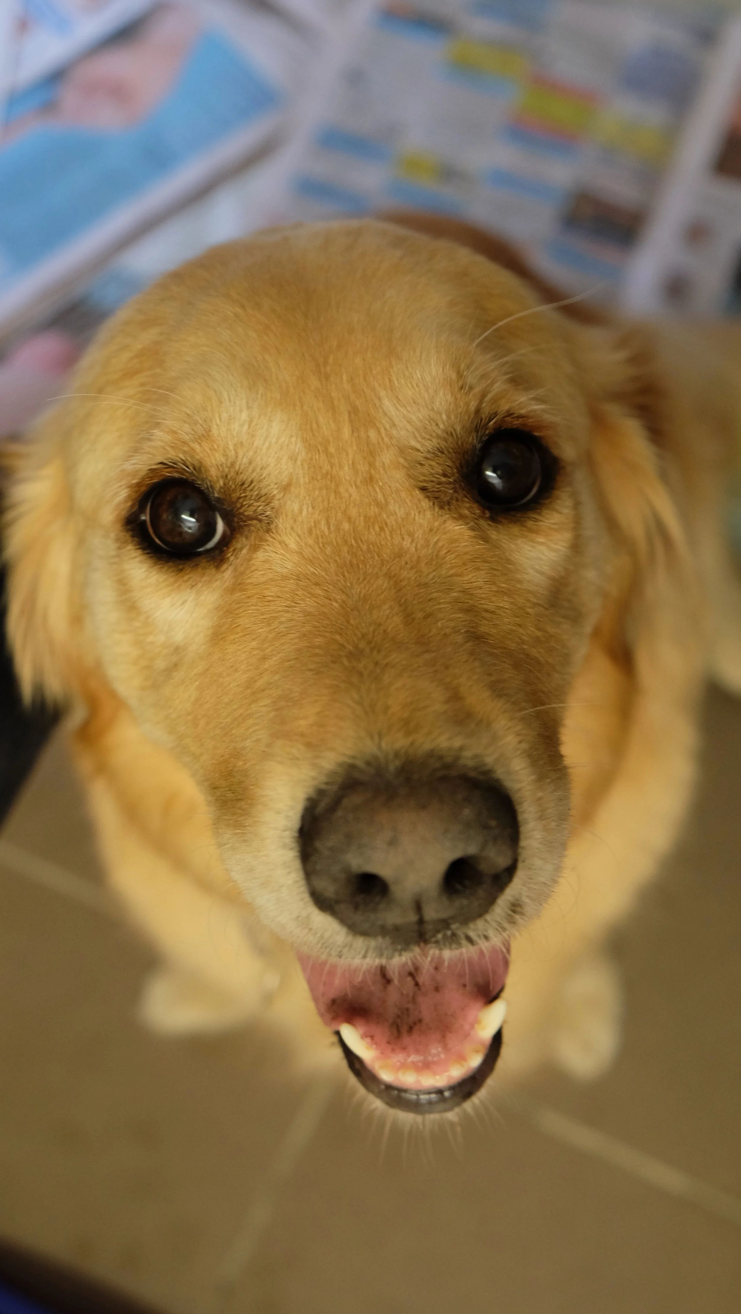 DSCF6865.JPG