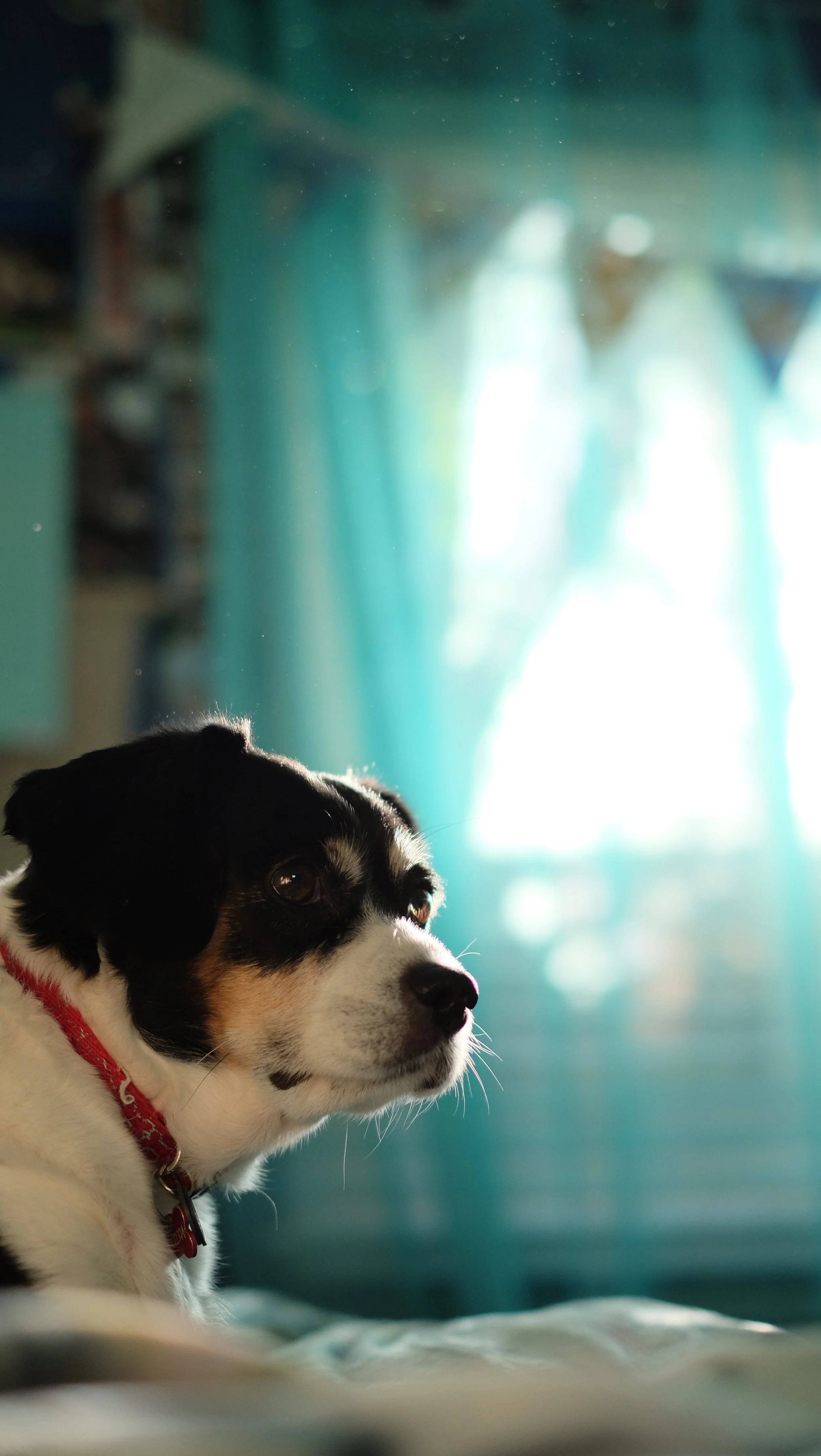 DSCF9363.JPG