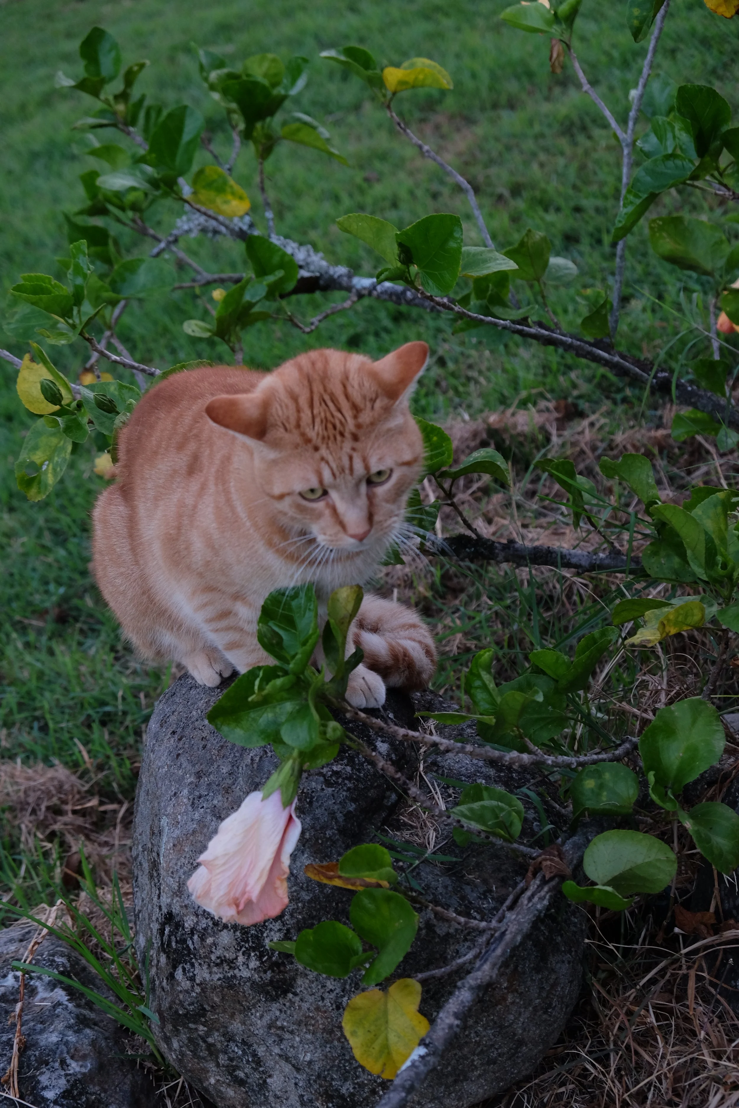 DSCF1129.JPG