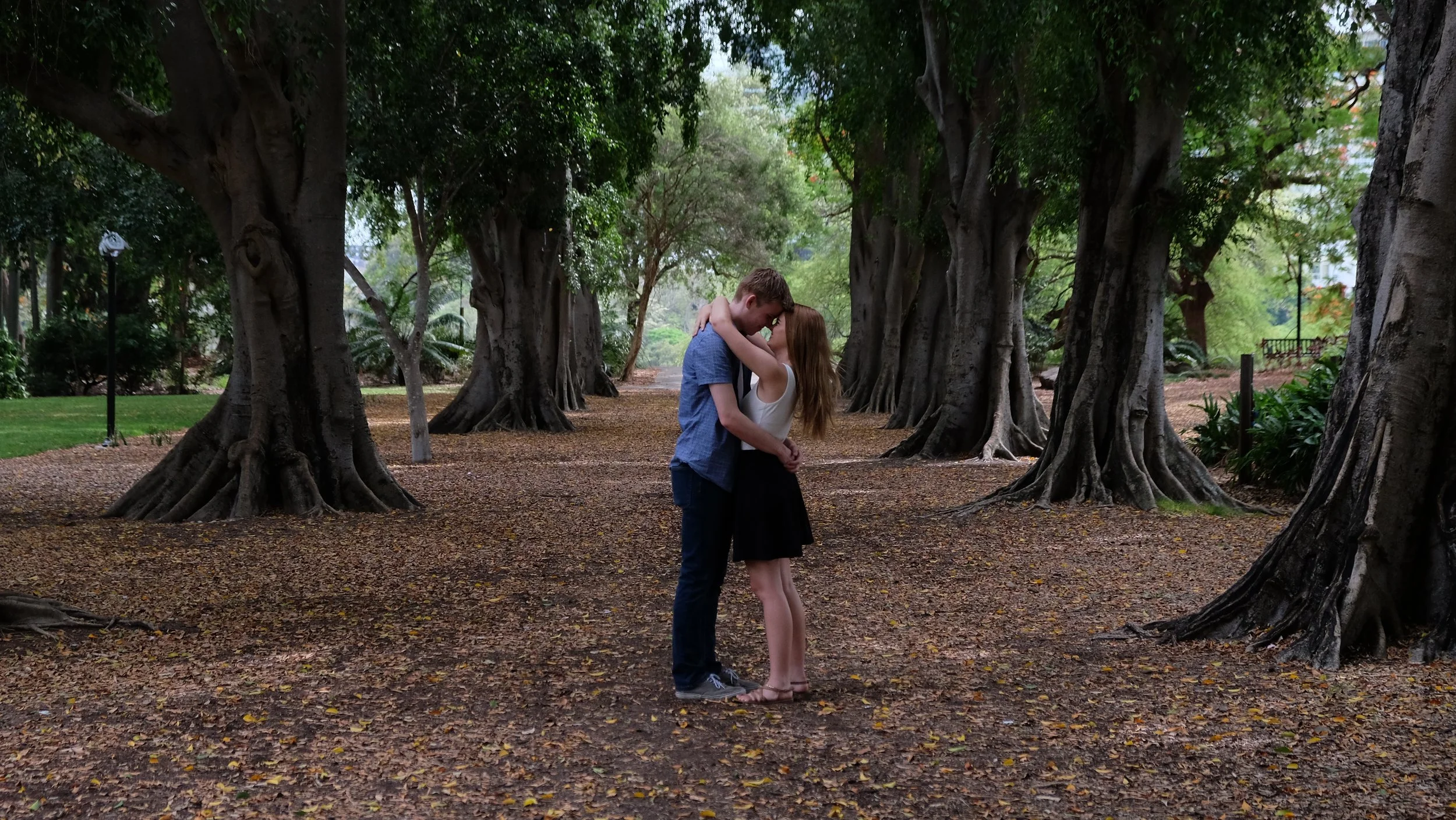 A young man and woman are kissing and embracing each other in a park with large, old trees and lush greenery.