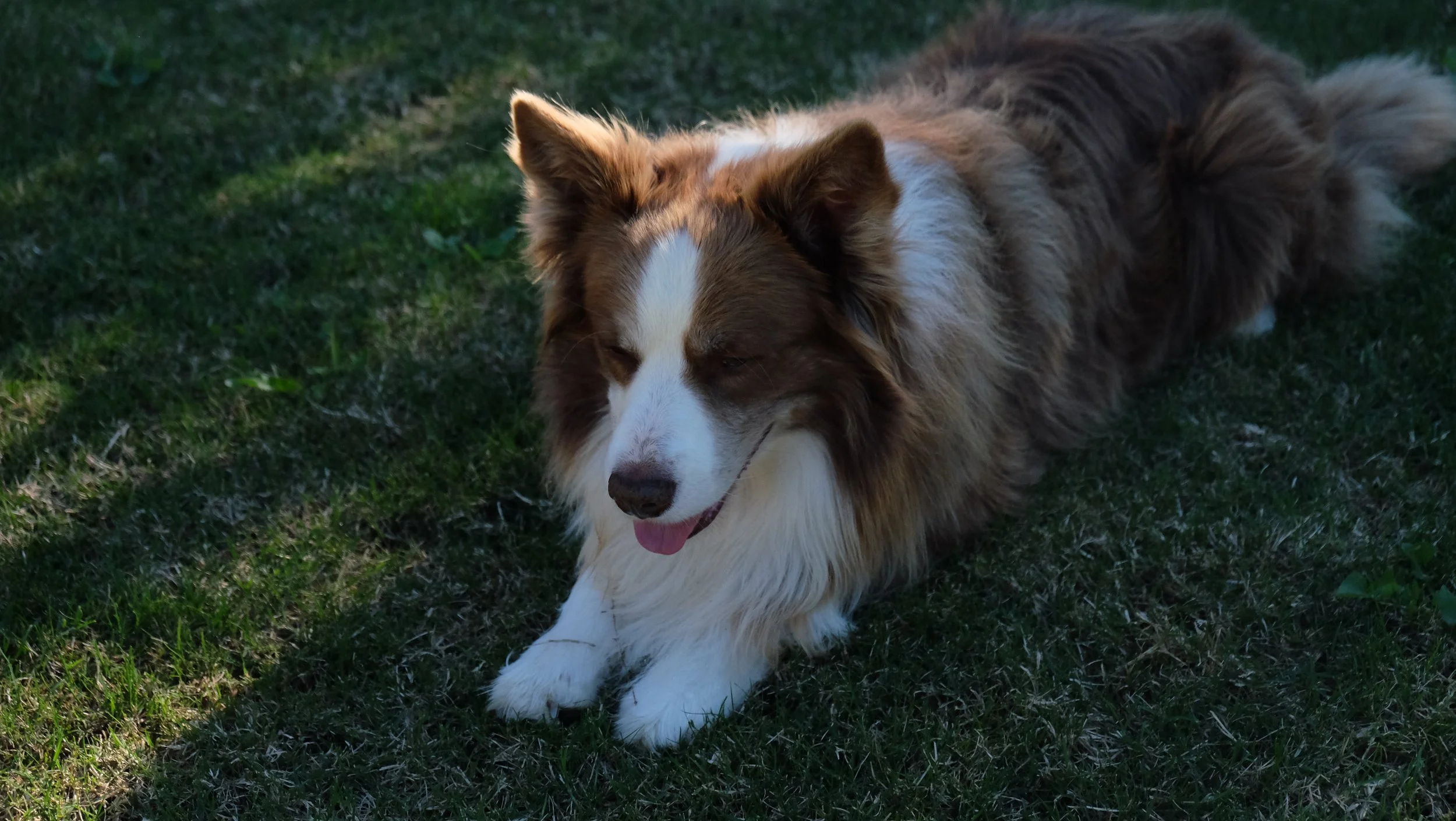 DSCF5810.JPG
