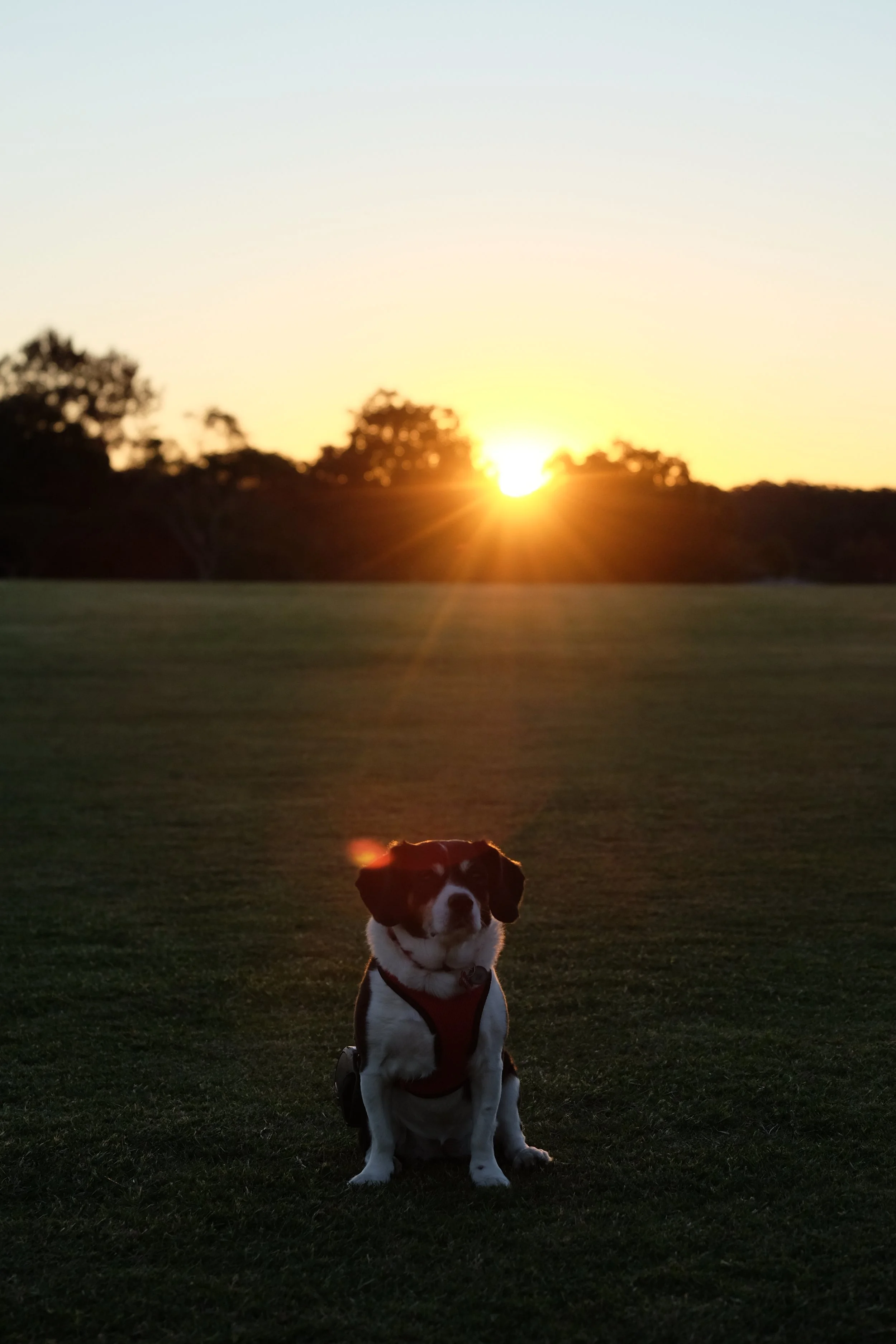 DSCF3687.JPG