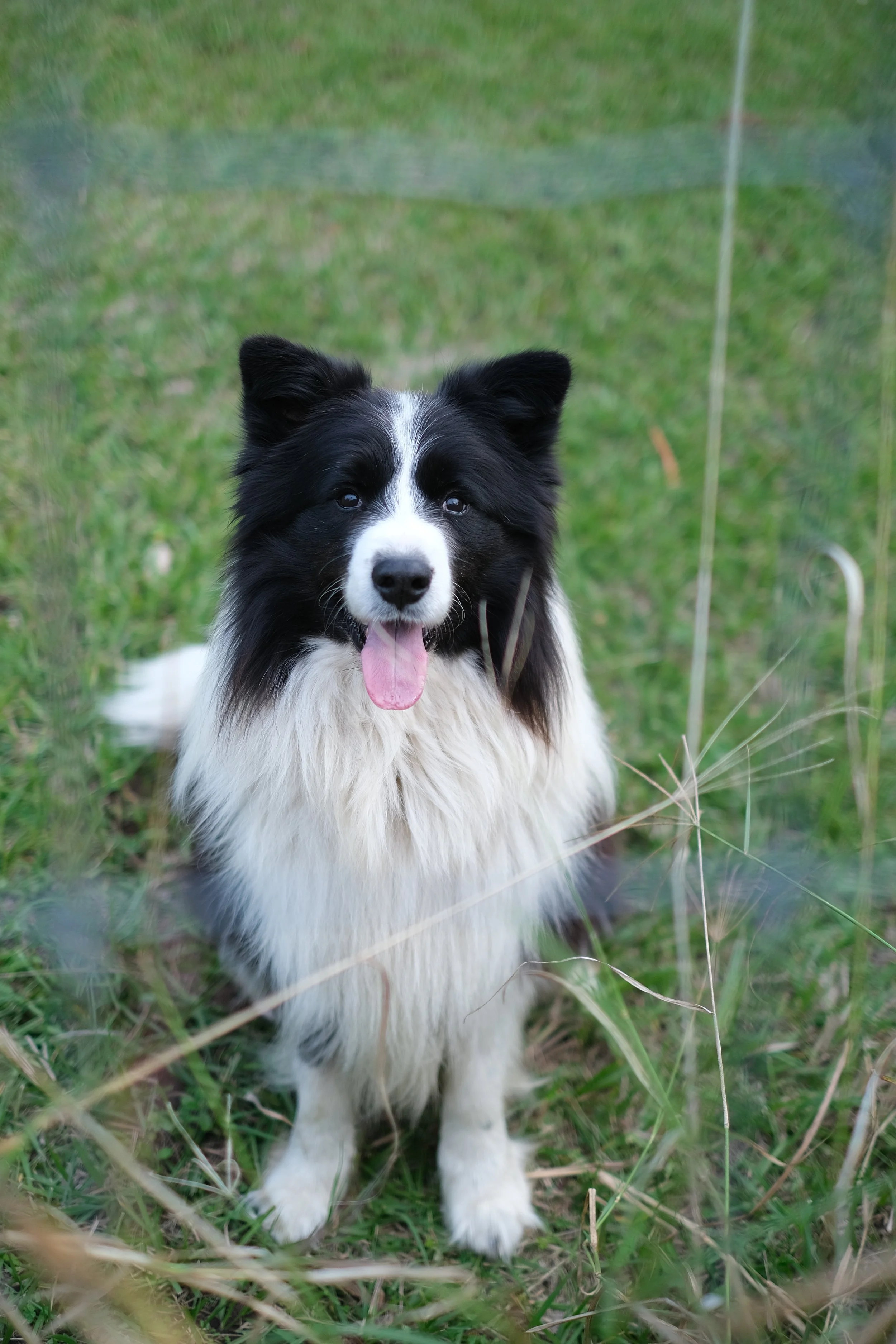 DSCF1579.JPG