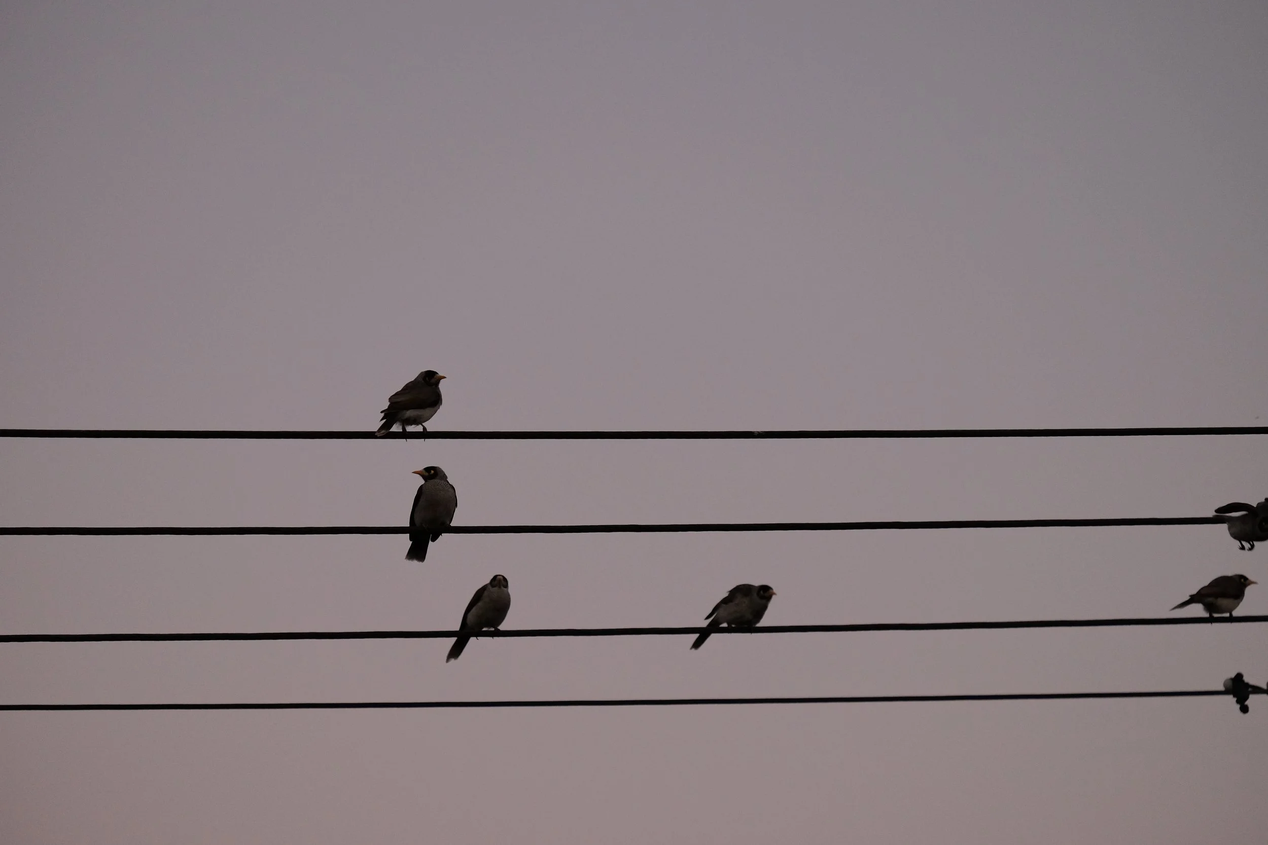 DSCF3486.JPG