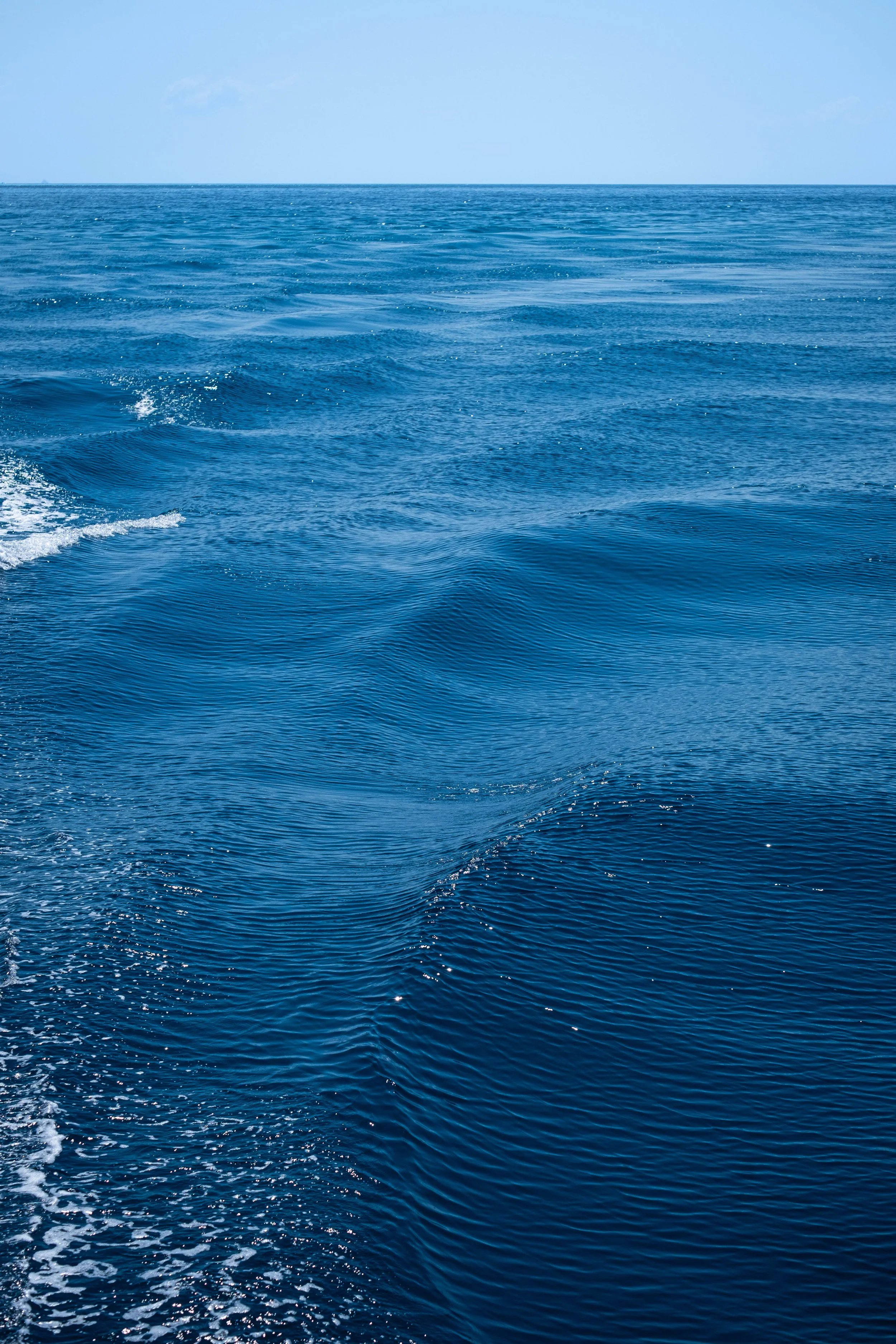 waves.jpg