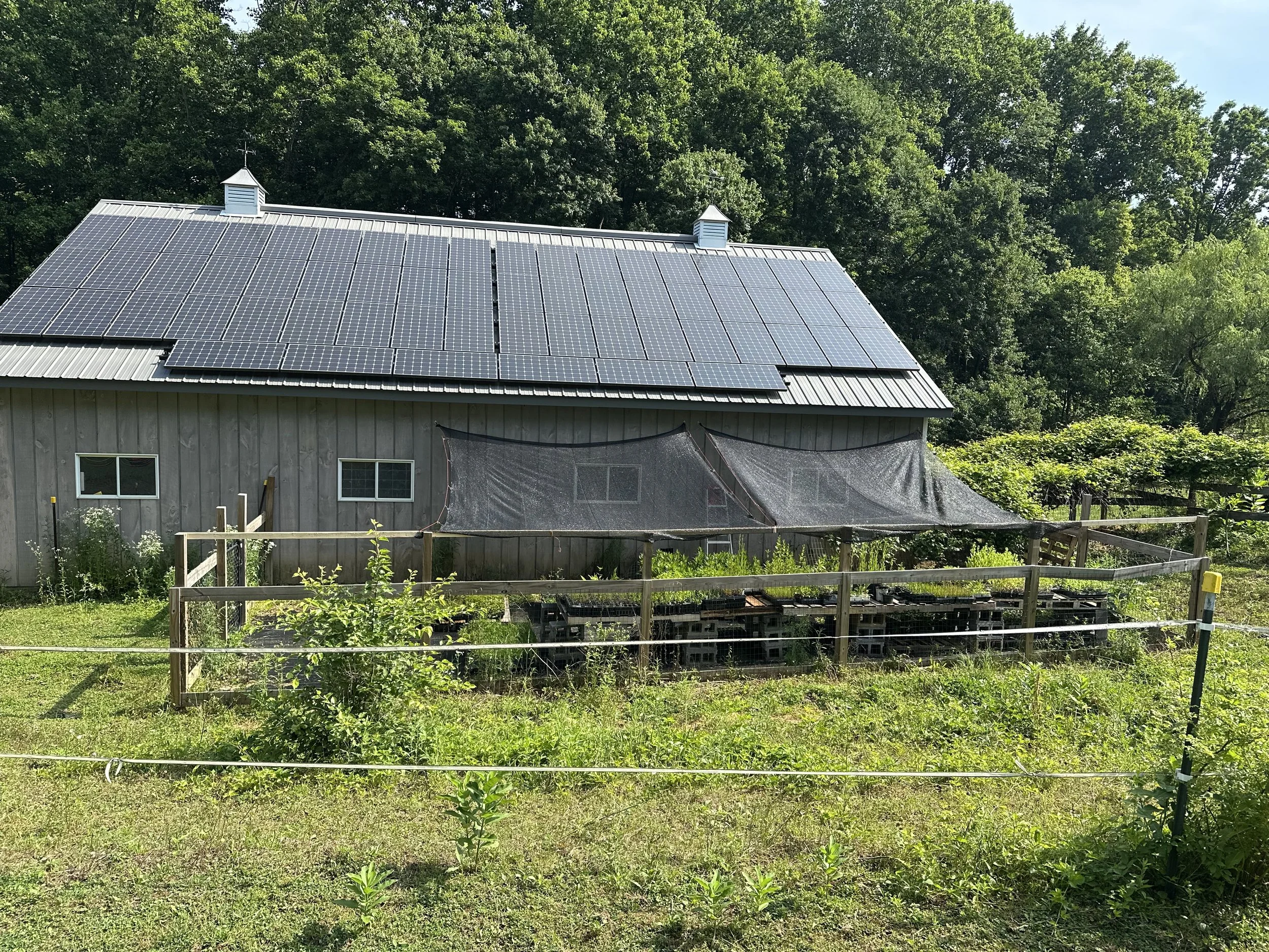 The Pen is a converted chicken yard where chickens can still run through a tunnel along the barn!
