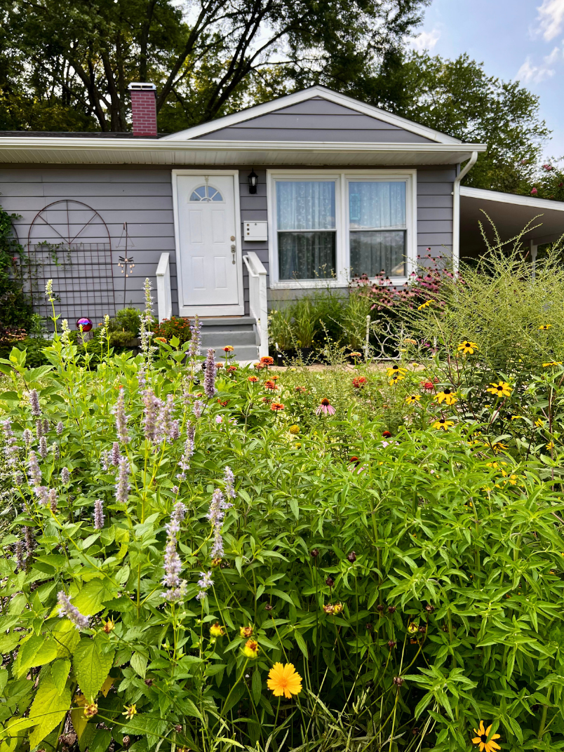 Talk: The Garden is a Mirror: How to Reflect Yourself and the Natural World in Your Garden Design